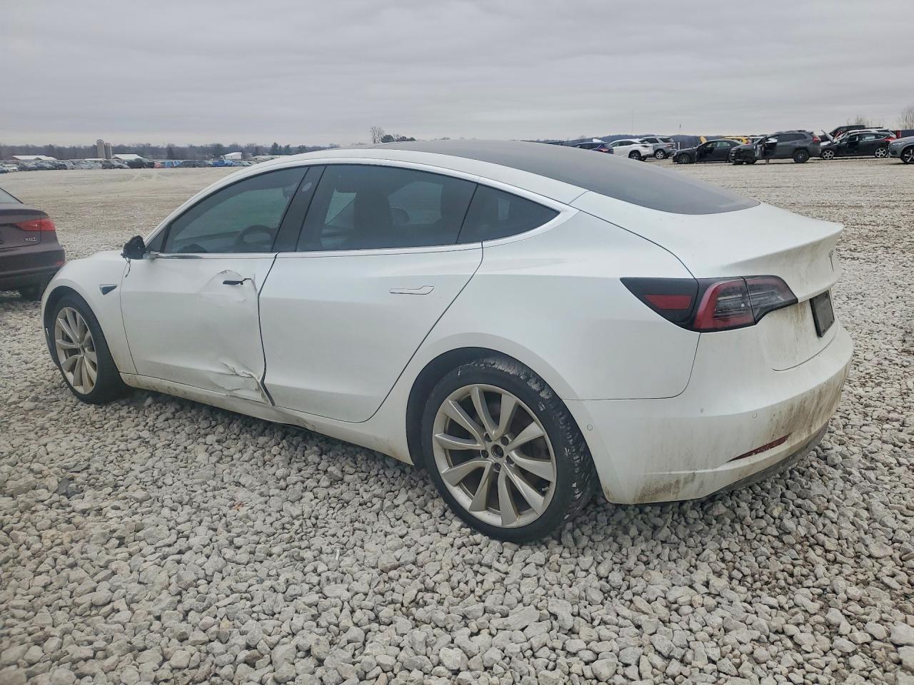 2019 TESLA MODEL 3 photo 3