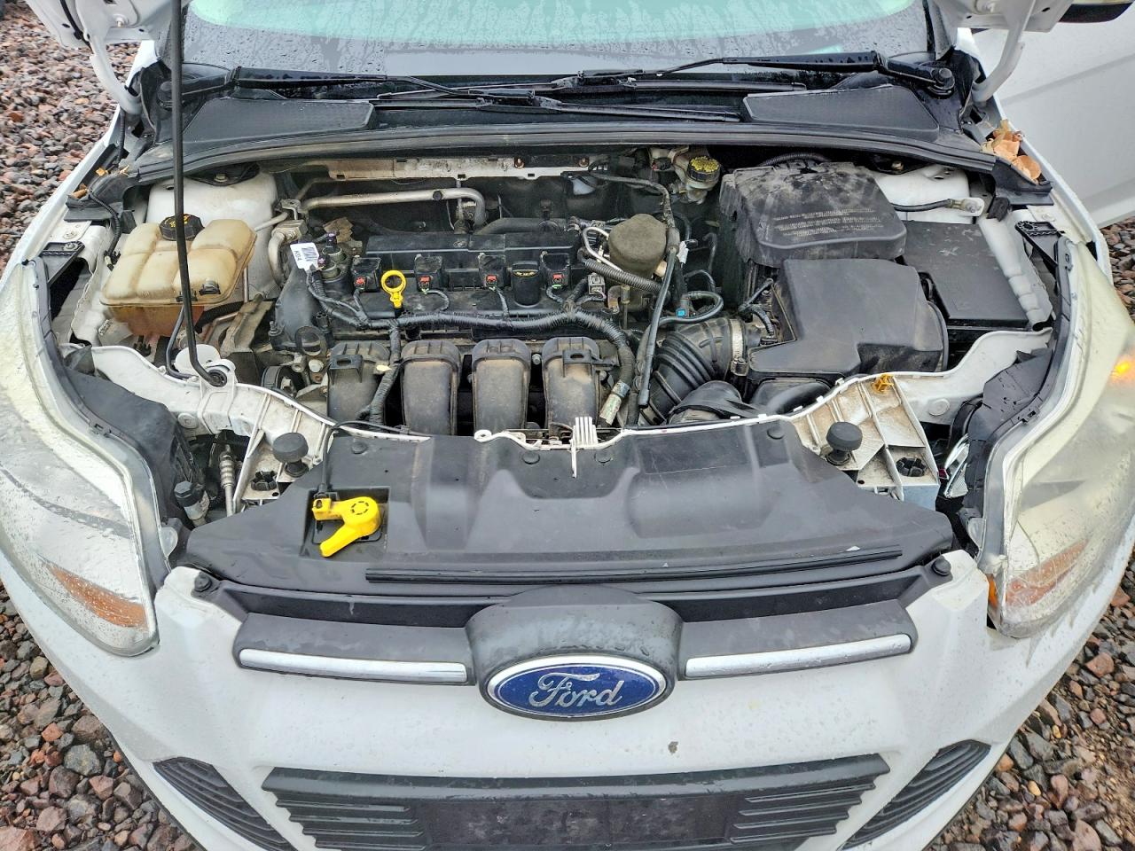 2014 FORD FOCUS SE photo 21