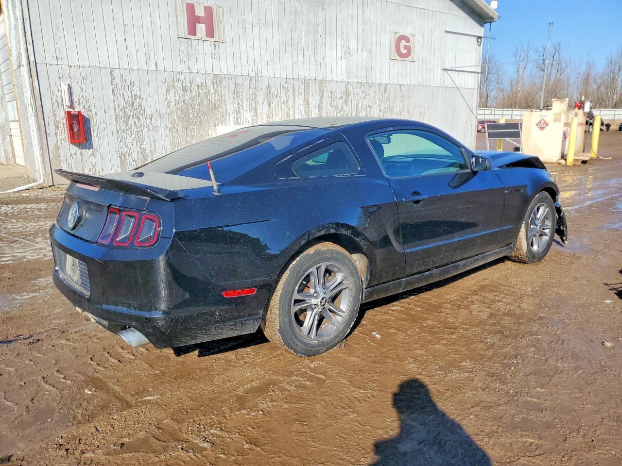 2014 FORD MUSTANG photo 3