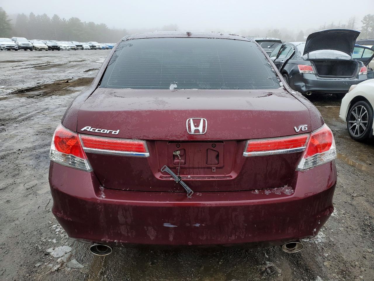 2011 HONDA ACCORD EXL photo 6