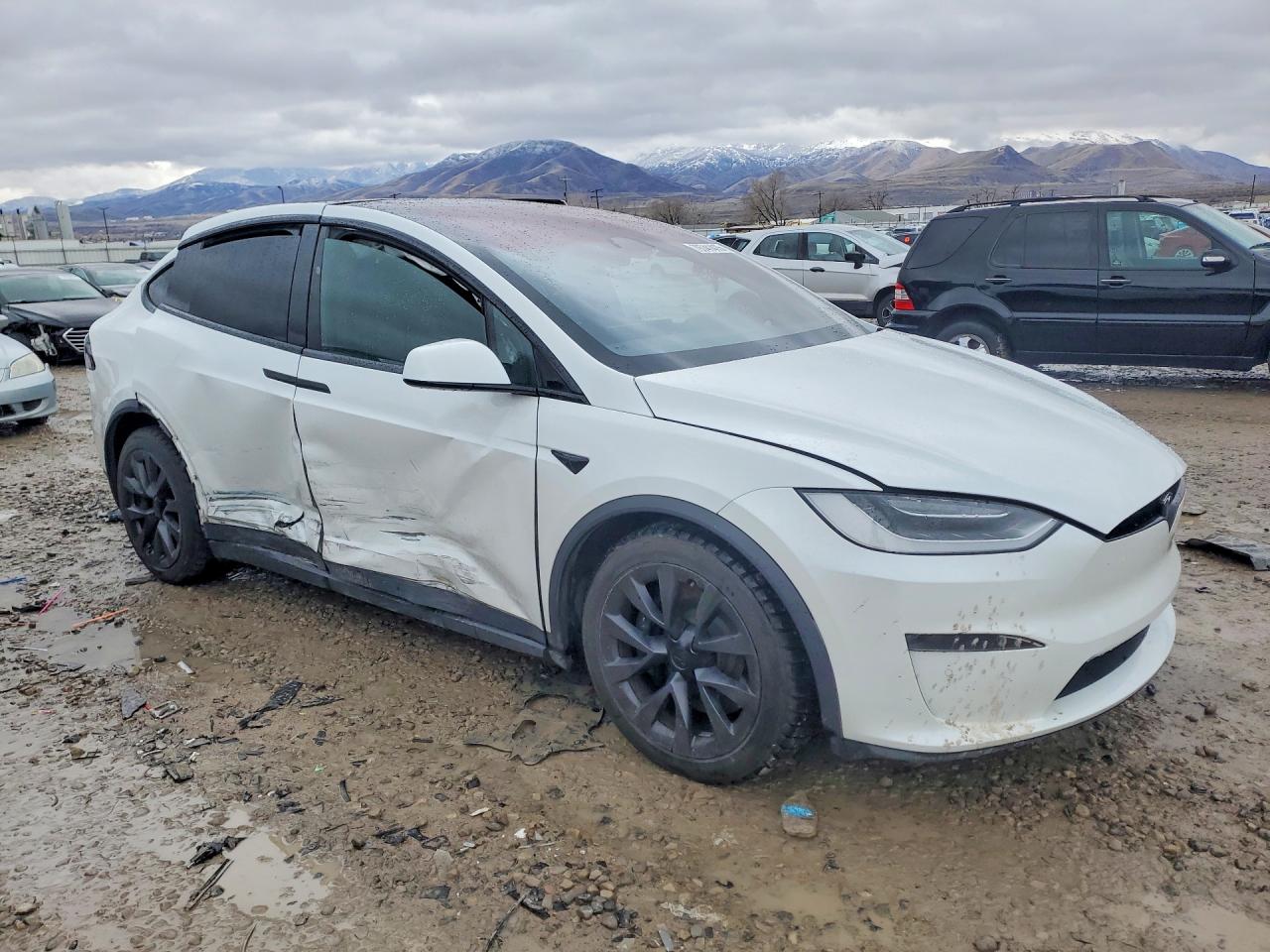 2023 TESLA MODEL X photo 4
