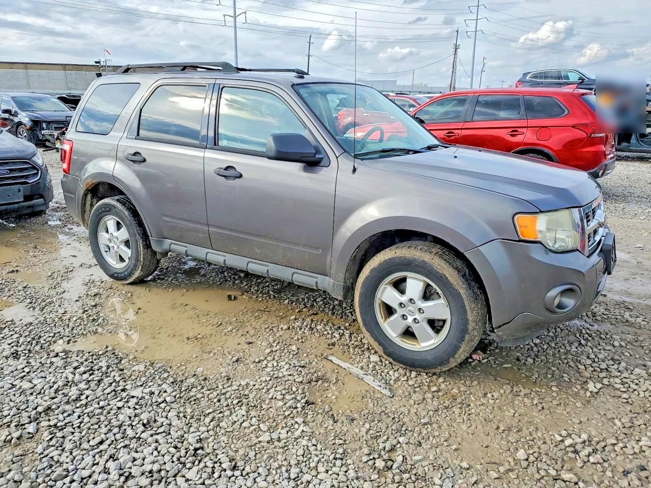 2011 FORD ESCAPE XLT photo 7