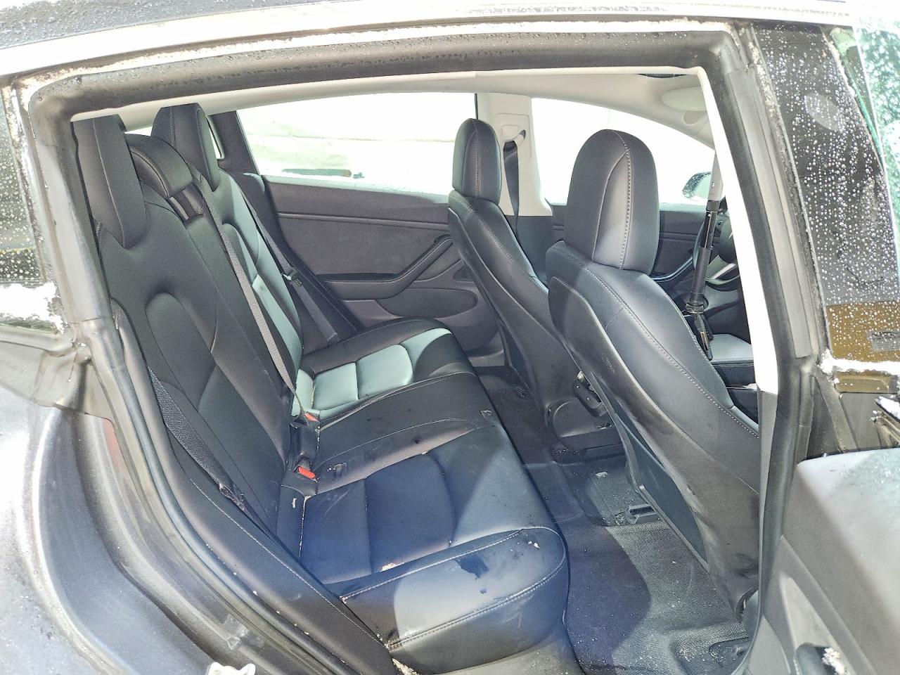 2019 TESLA MODEL 3 photo 19