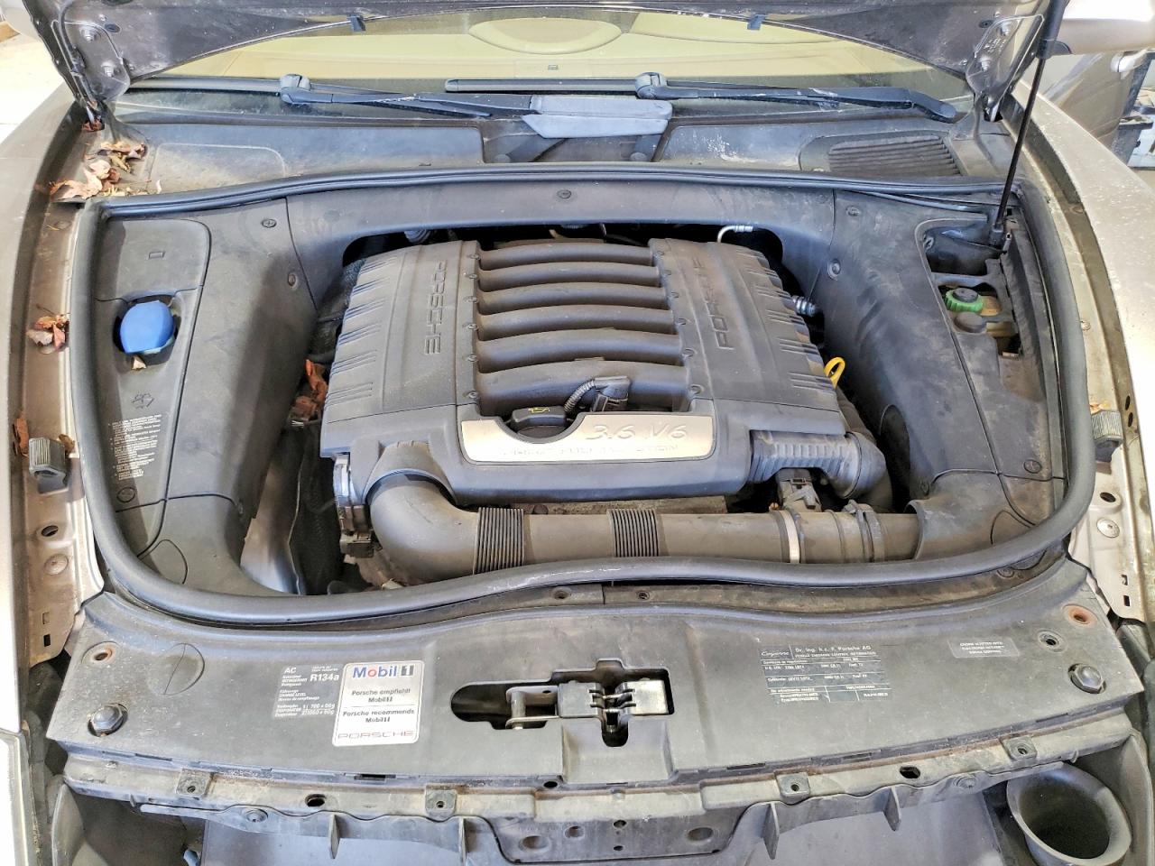 2009 PORSCHE CAYENNE photo 12