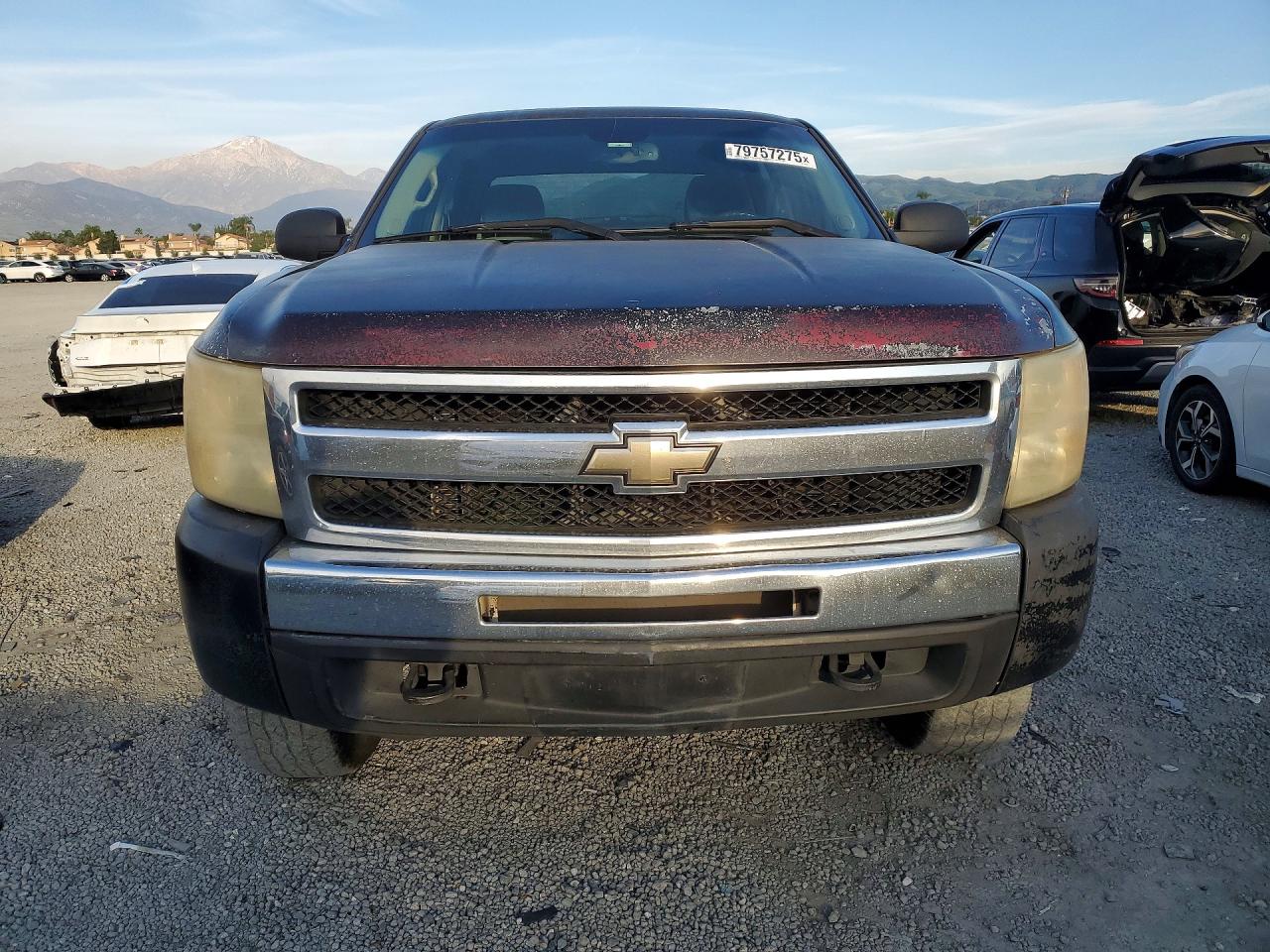 2007 CHEVROLET SILVERADO C1500 CREW CAB photo 9