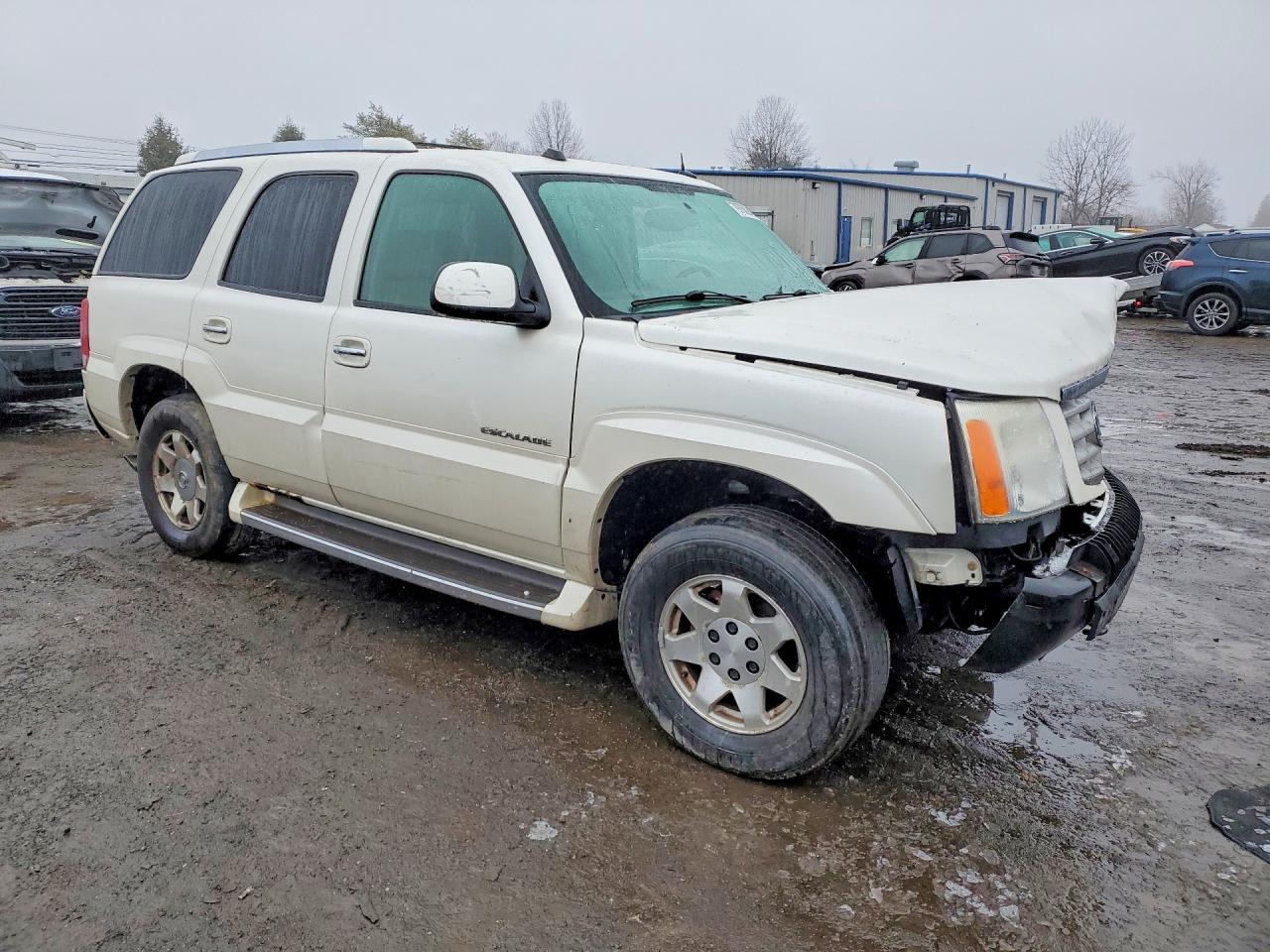 2004 CADILLAC ESCALADE LUXURY photo 10