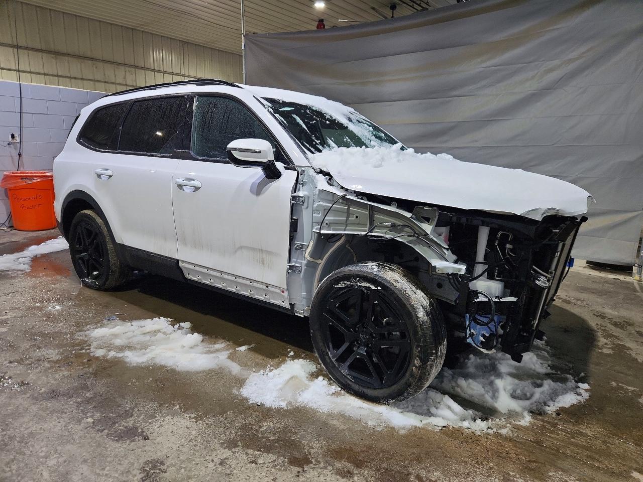 2025 KIA TELLURIDE SX-PRESTIGE X-LINE photo 4