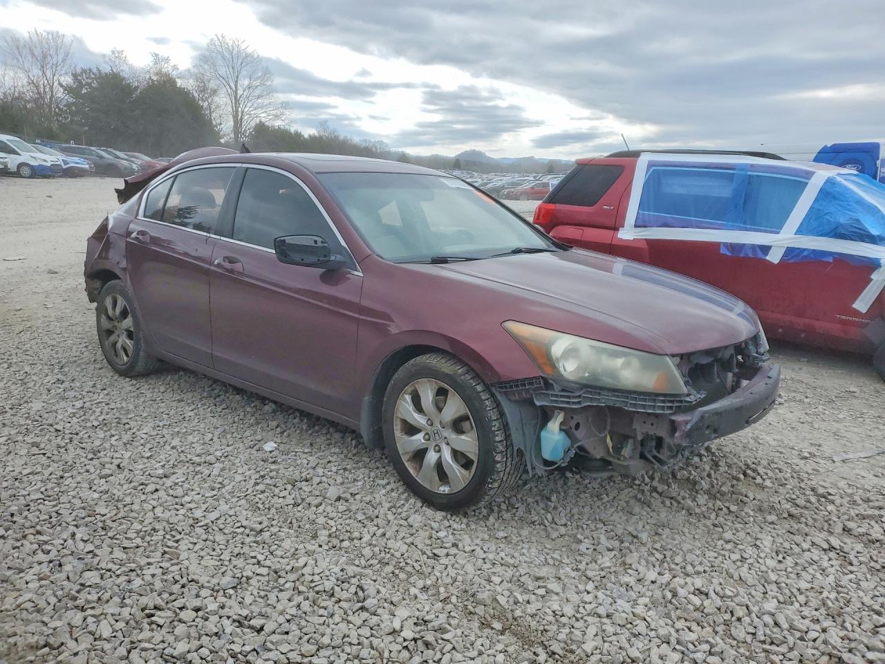 2010 HONDA ACCORD EXL photo 7