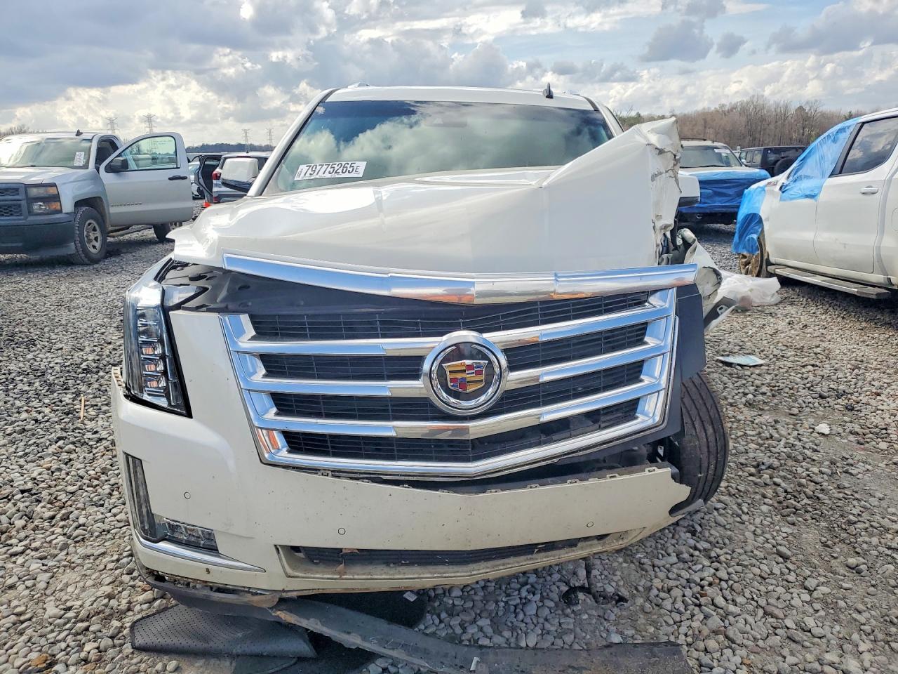 2015 CADILLAC ESCALADE ESV LUXURY photo 9