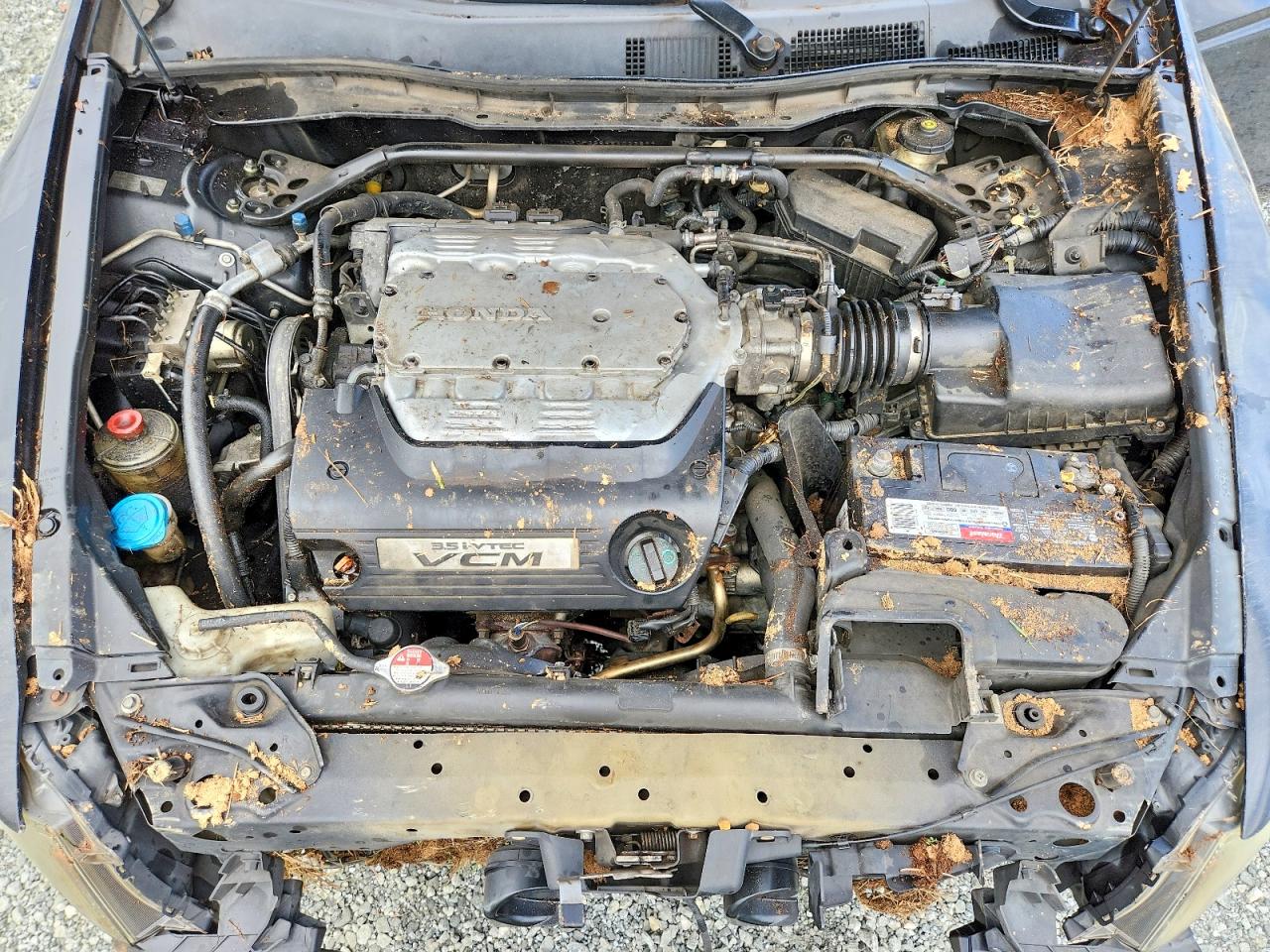 2008 HONDA ACCORD EXL photo 11