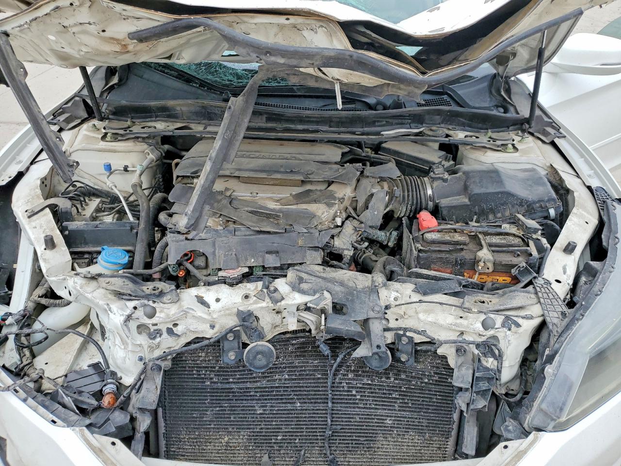 2014 HONDA ACCORD EXL photo 11
