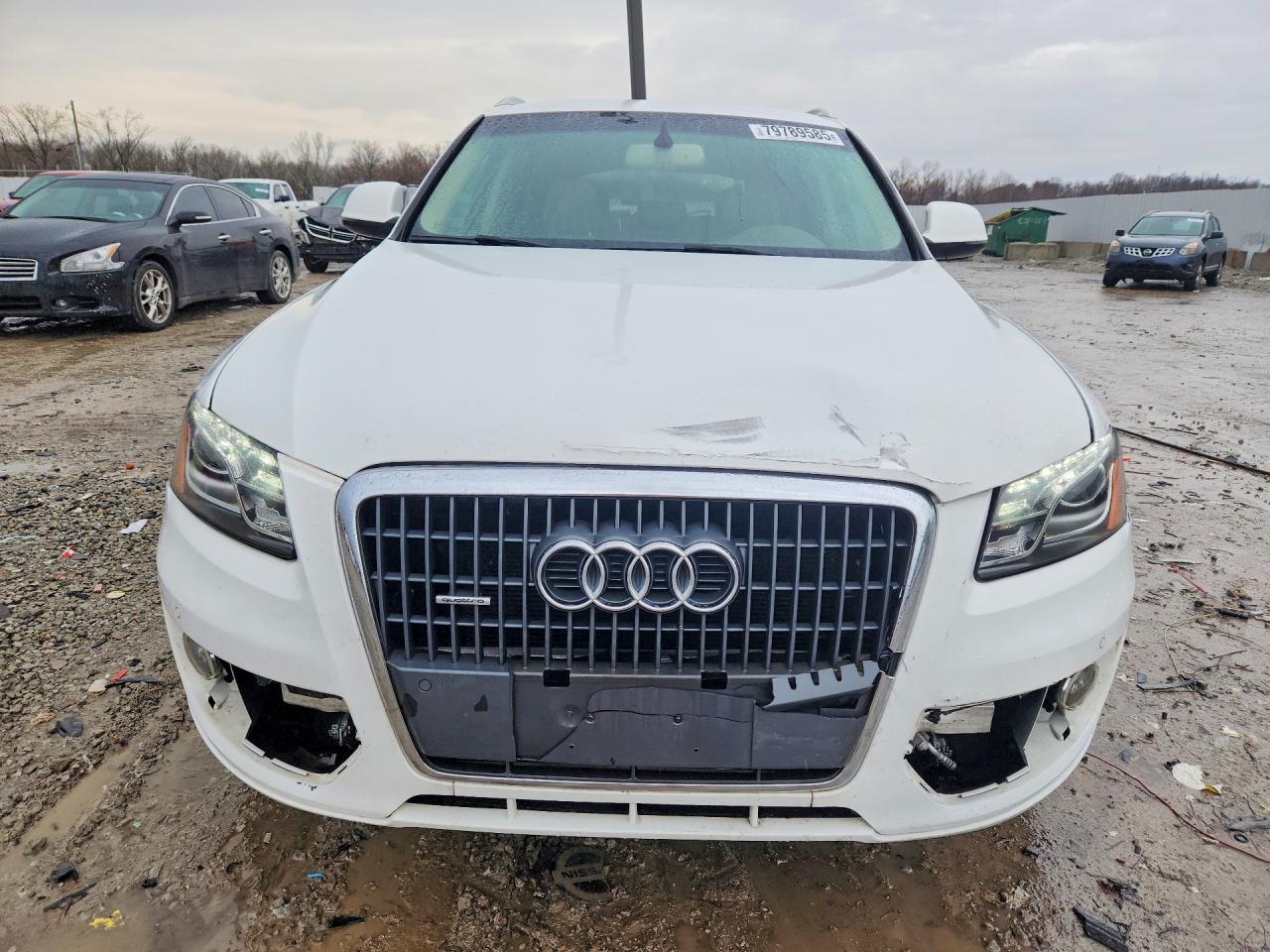 2011 AUDI Q5 PREMIUM PLUS photo 5