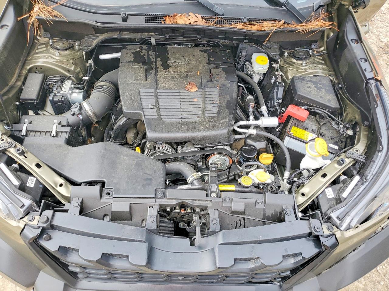 2024 SUBARU FORESTER WILDERNESS photo 31