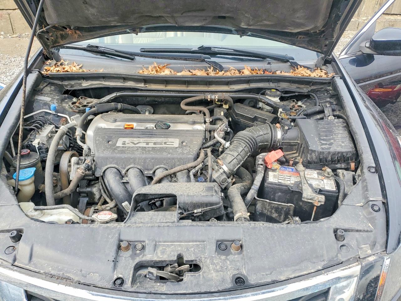 2008 HONDA ACCORD EXL photo 31