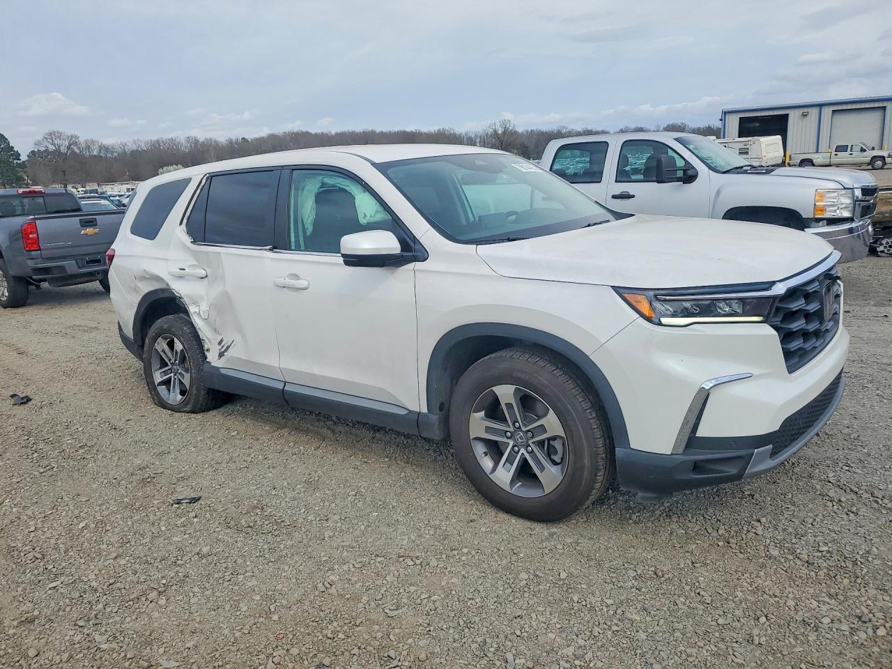 2025 HONDA PILOT EXL photo 7