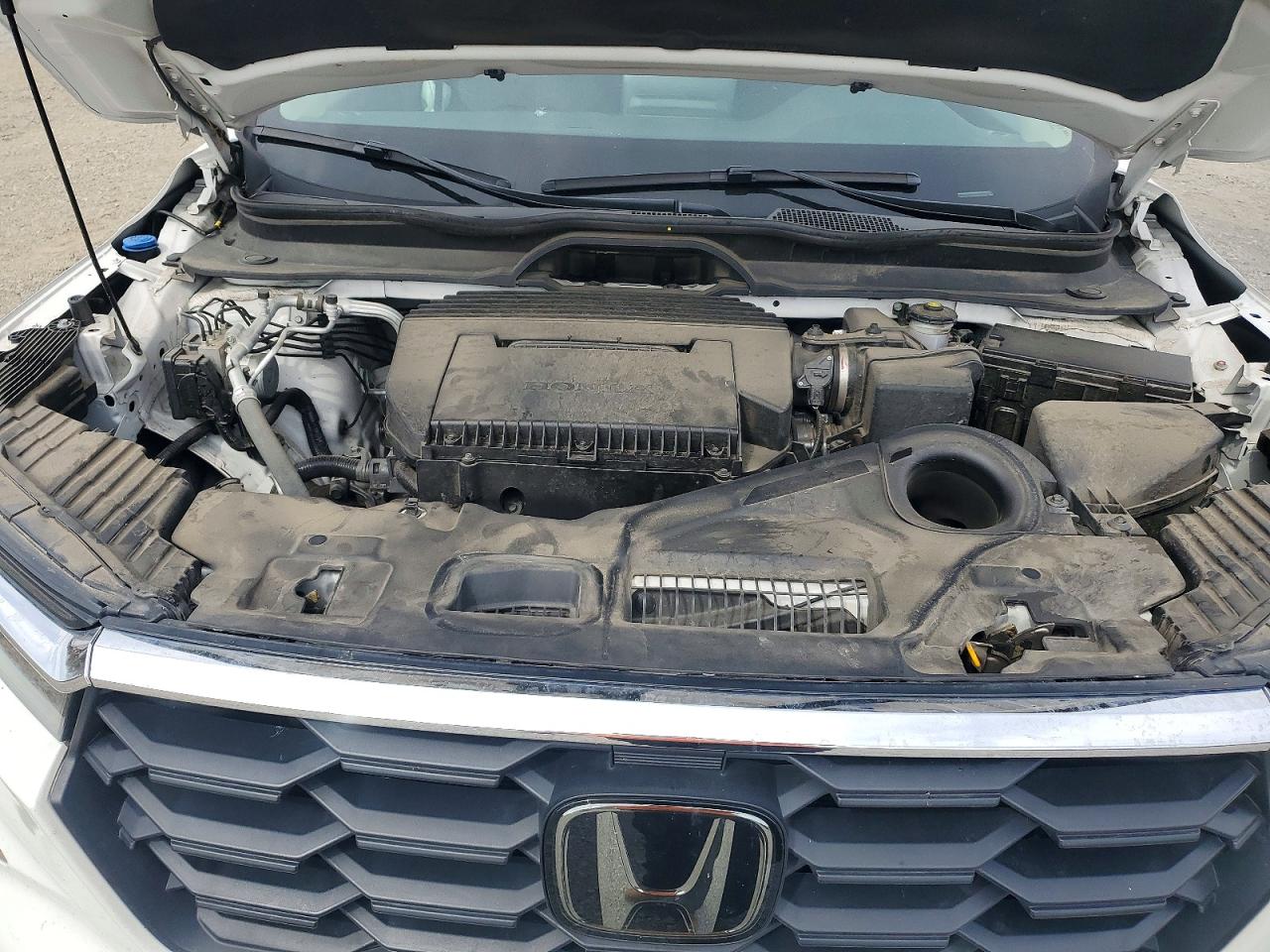 2025 HONDA PILOT EXL photo 23