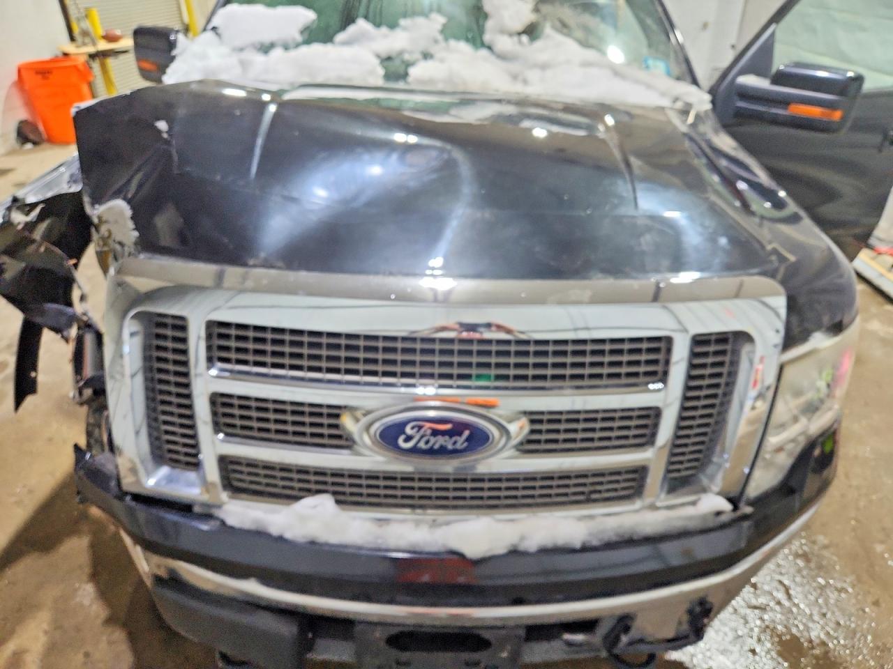 2010 FORD F150 SUPERCREW photo 11