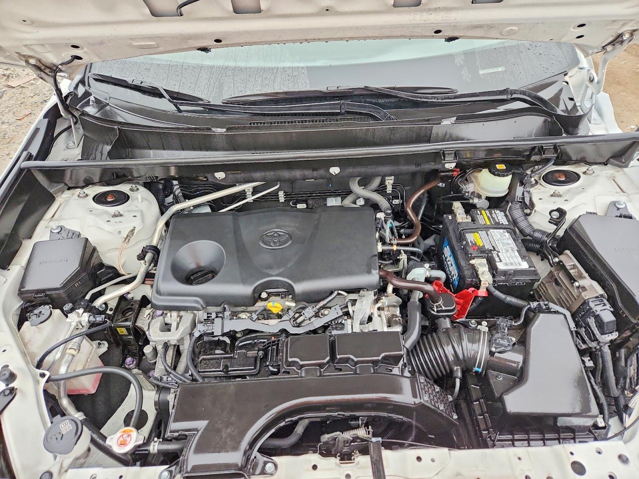 2019 TOYOTA RAV4 LE photo 34