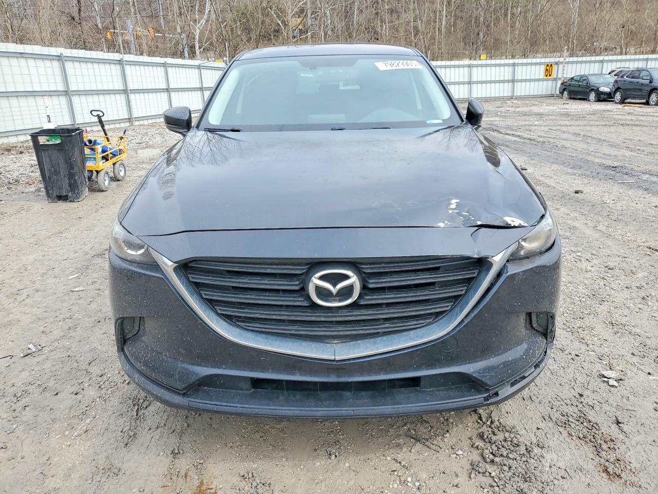 2017 MAZDA CX-9 SPORT photo 9
