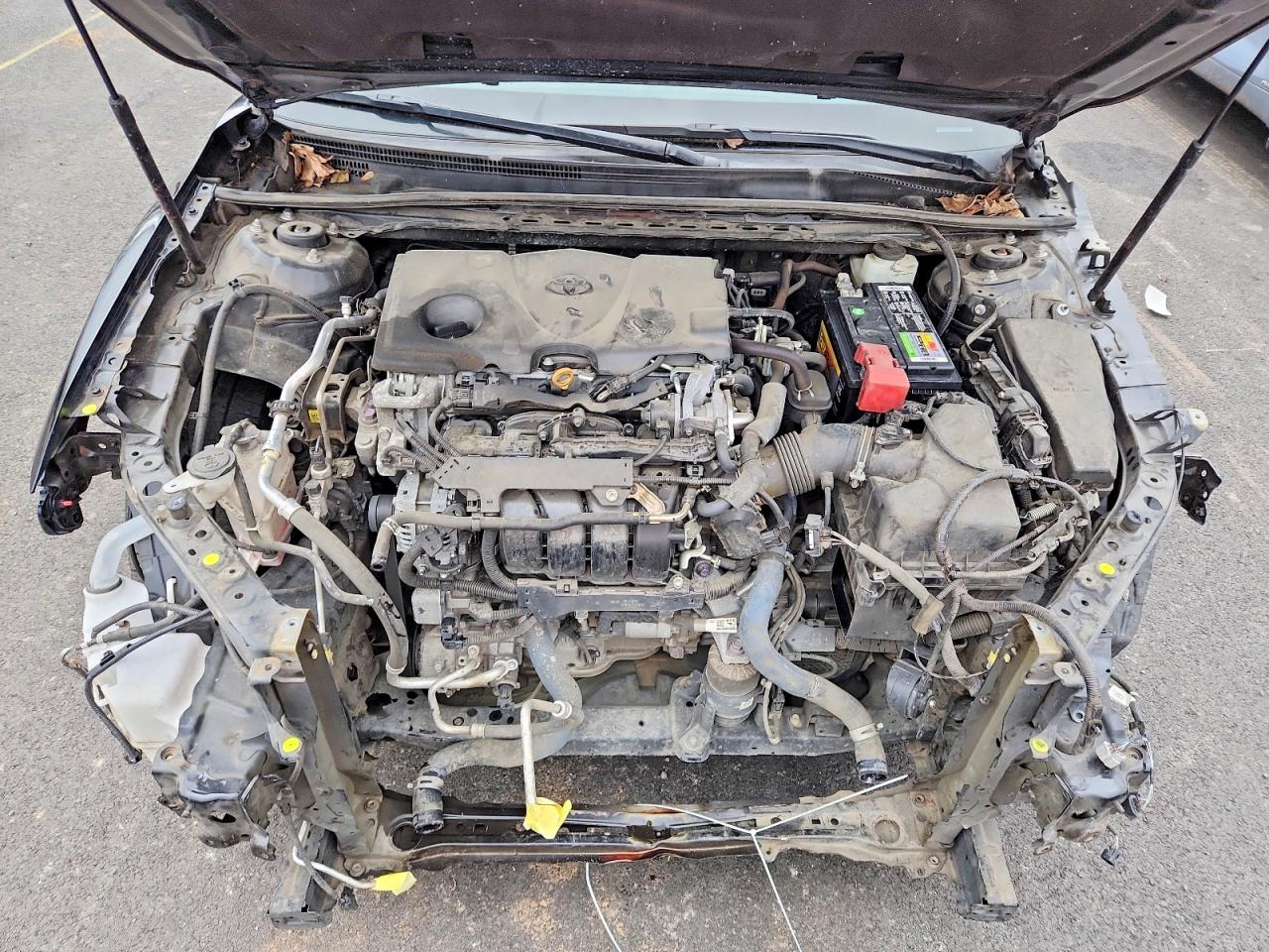 2019 TOYOTA CAMRY LE photo 11