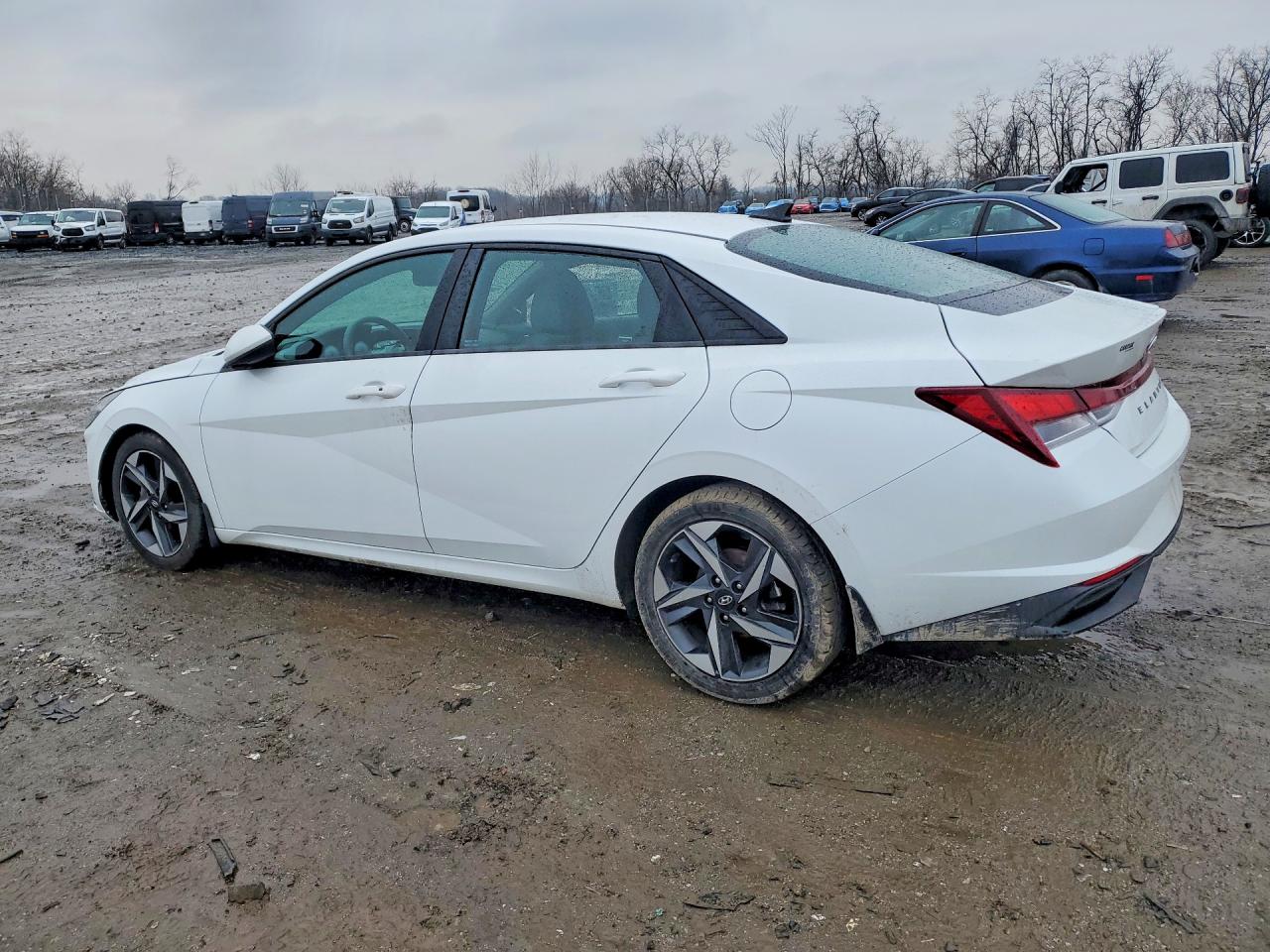 2023 HYUNDAI ELANTRA SEL photo 3