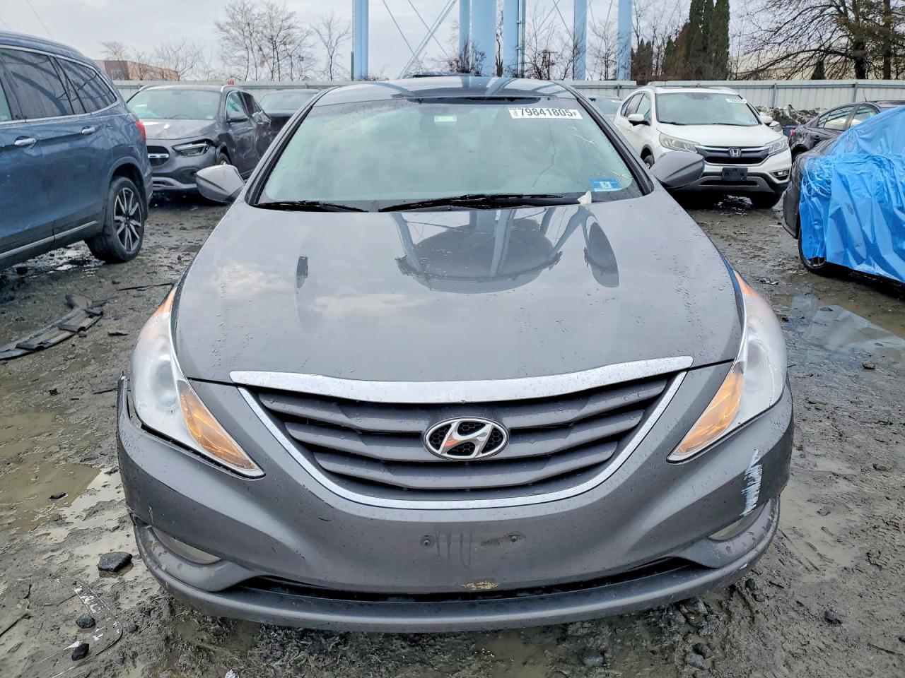 2013 HYUNDAI SONATA GLS photo 5