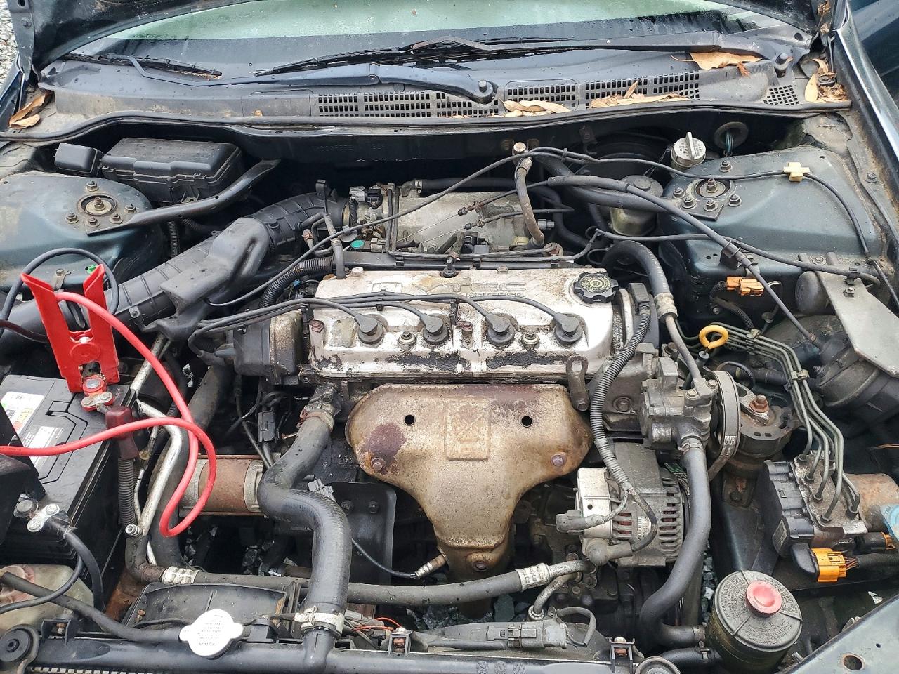 1998 HONDA ACCORD EX photo 11