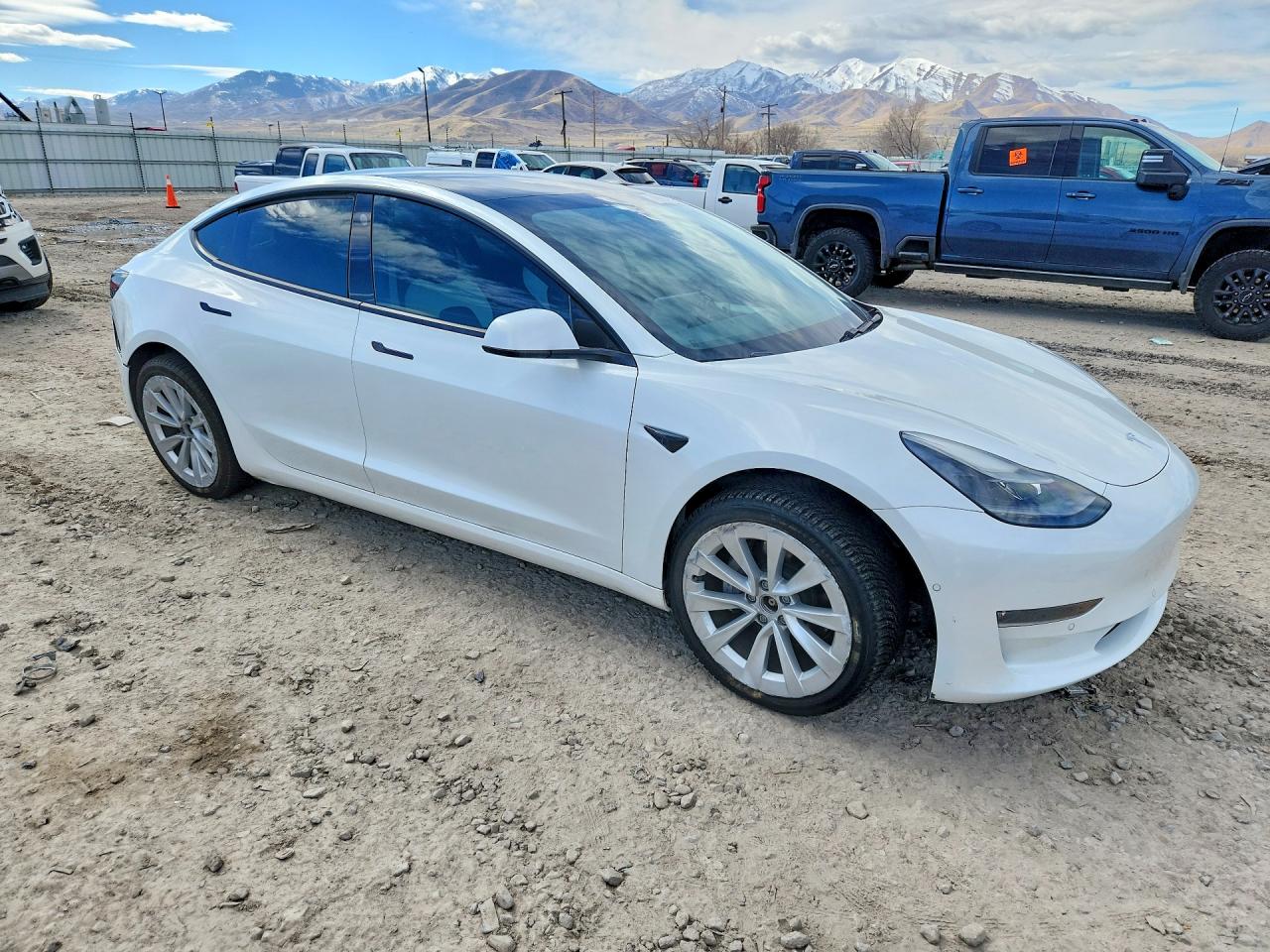 2021 TESLA MODEL 3 photo 13