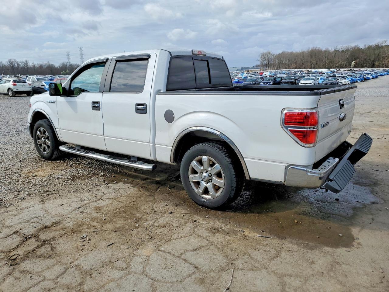 2014 FORD F150 SUPERCREW photo 3