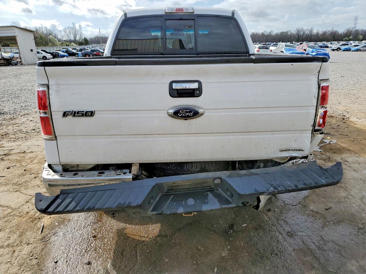 2014 FORD F150 SUPERCREW photo 11