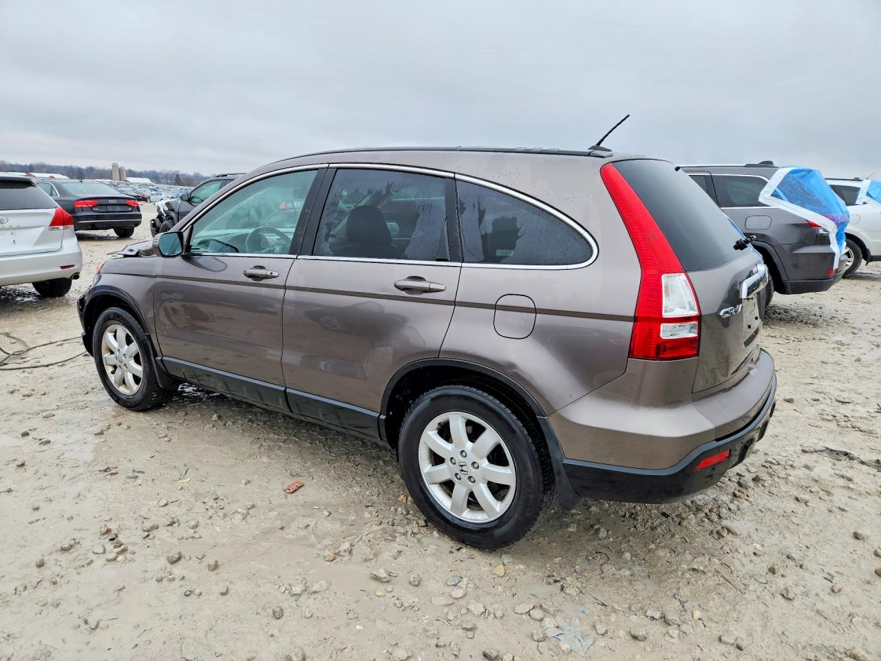 2009 HONDA CR-V EXL photo 3