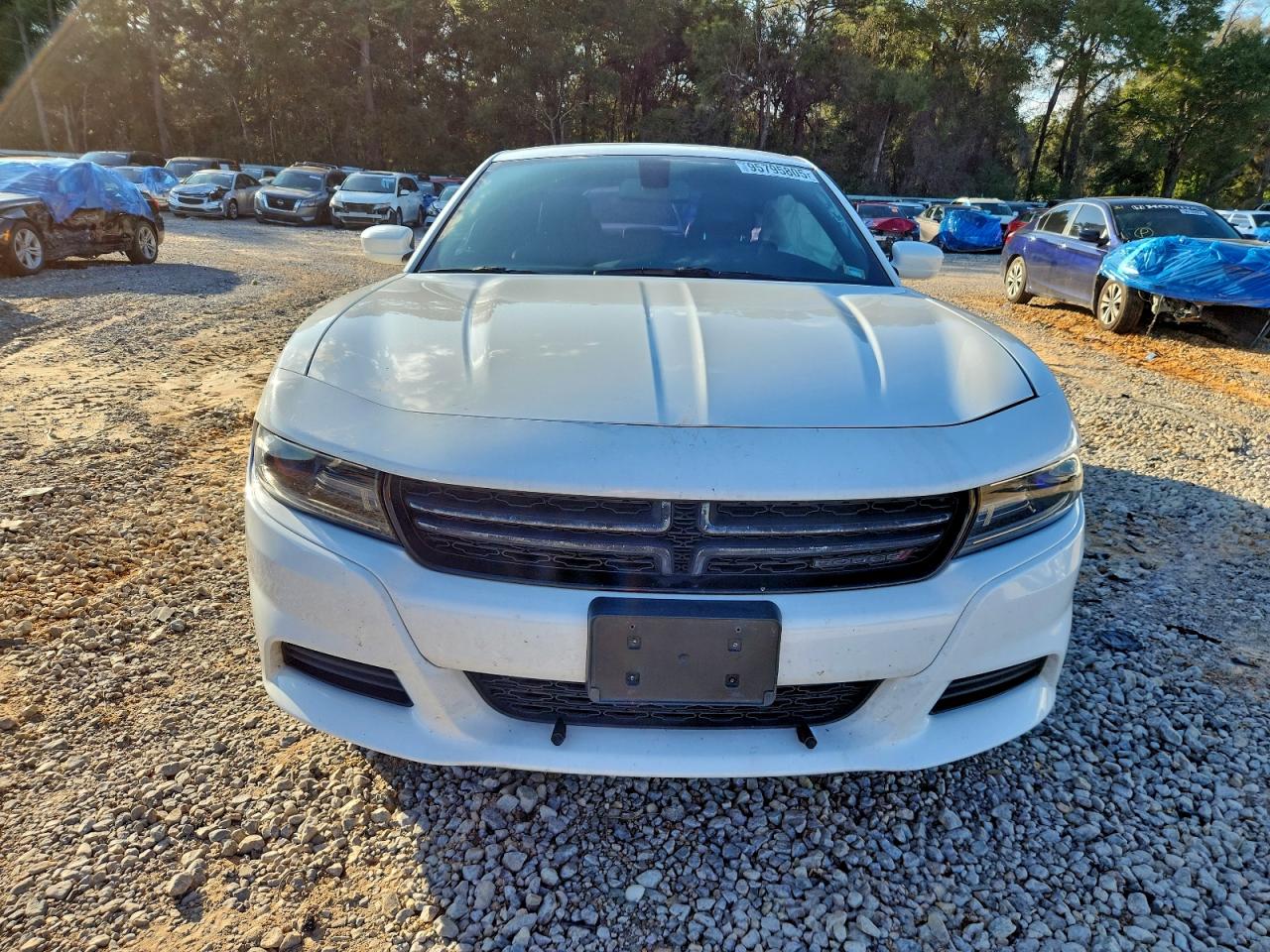 2017 DODGE CHARGER SE photo 9