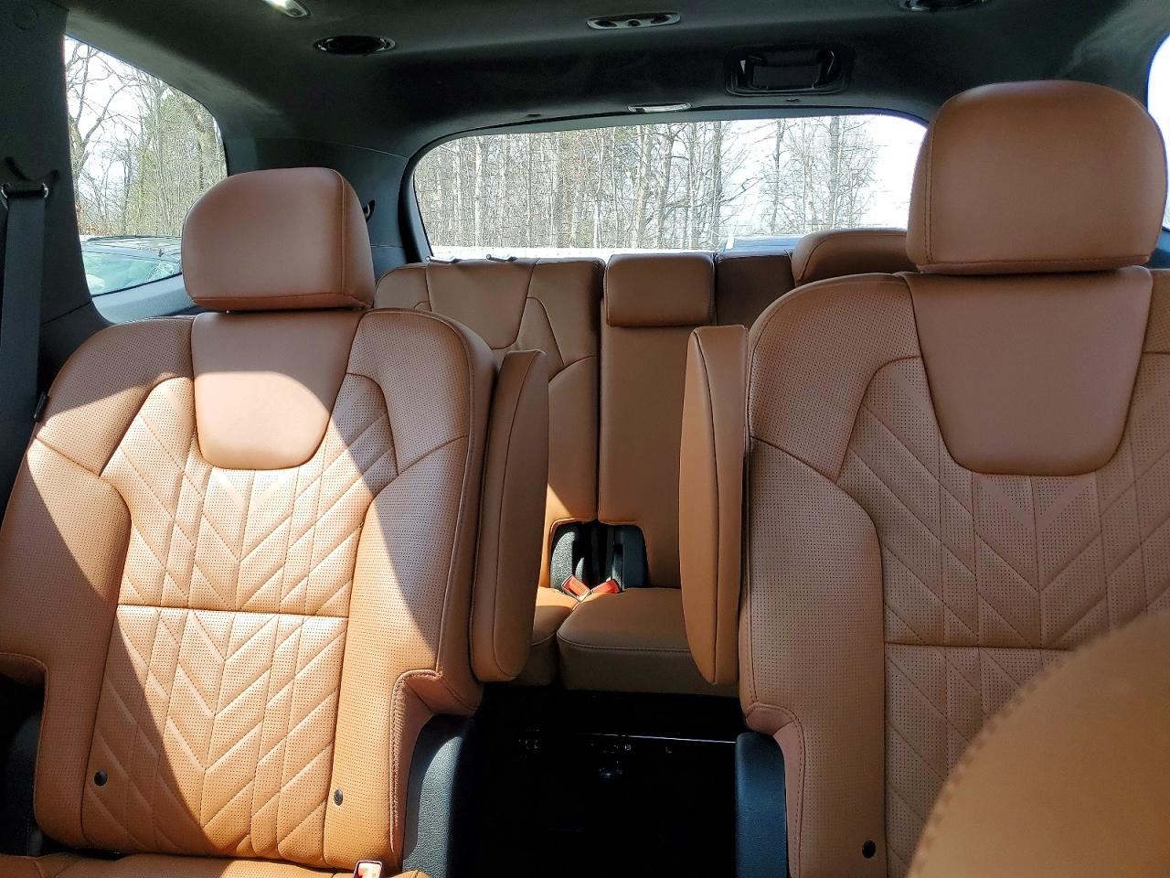 2025 KIA TELLURIDE SX-PRESTIGE X-PRO photo 10