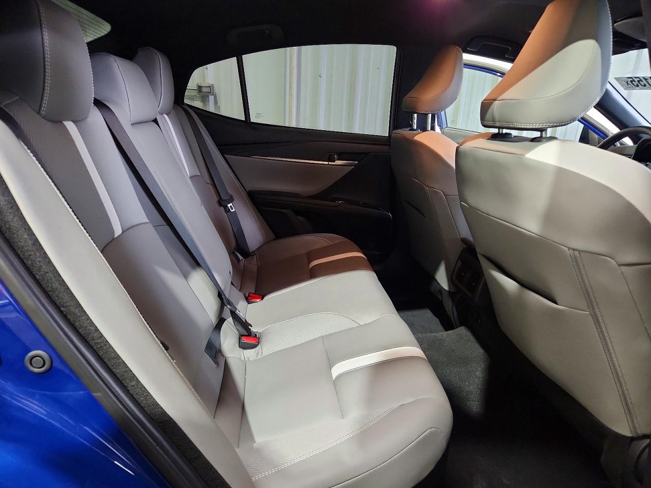 2025 TOYOTA CAMRY SE photo 10