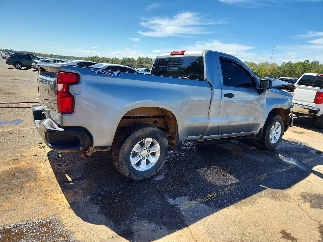 2025 CHEVROLET SILVERADO K1500 photo 5