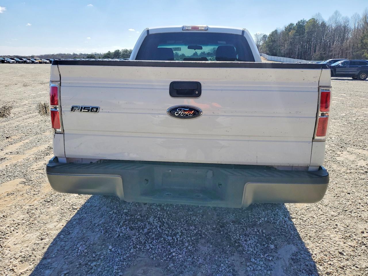 2014 FORD F150 photo 6