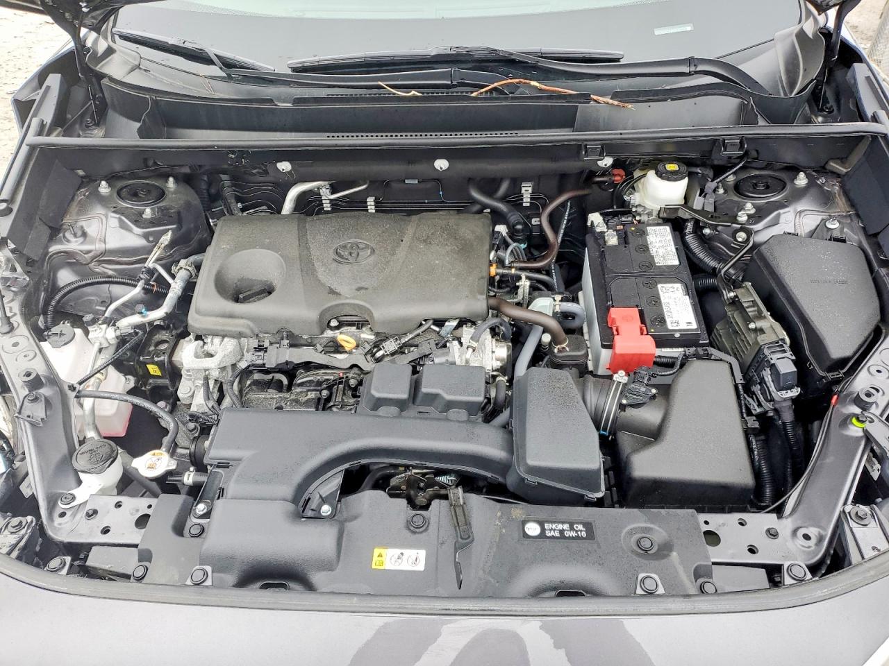 2025 TOYOTA RAV4 XLE photo 12