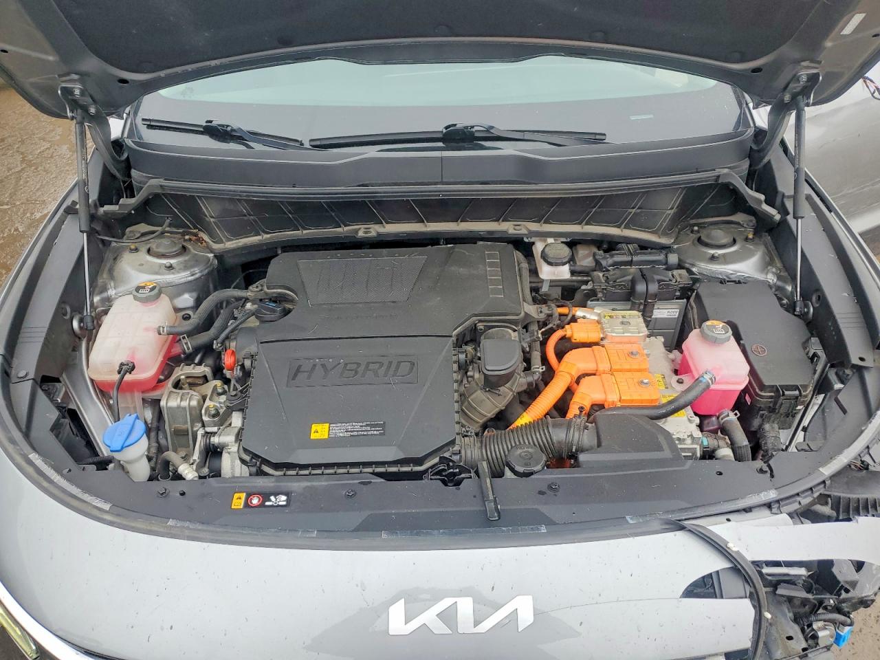 2024 KIA NIRO EX photo 12