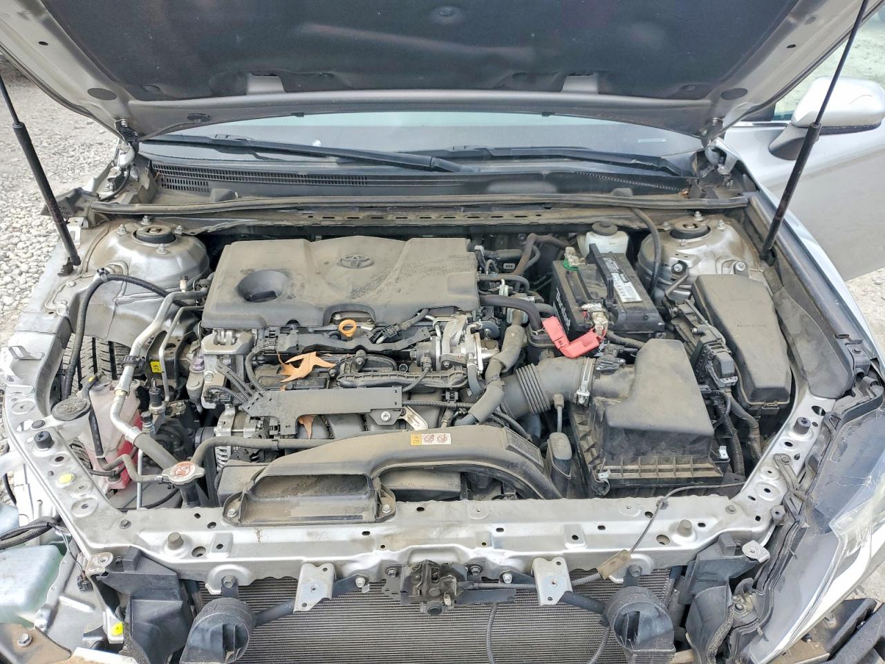 2019 TOYOTA CAMRY LE photo 11