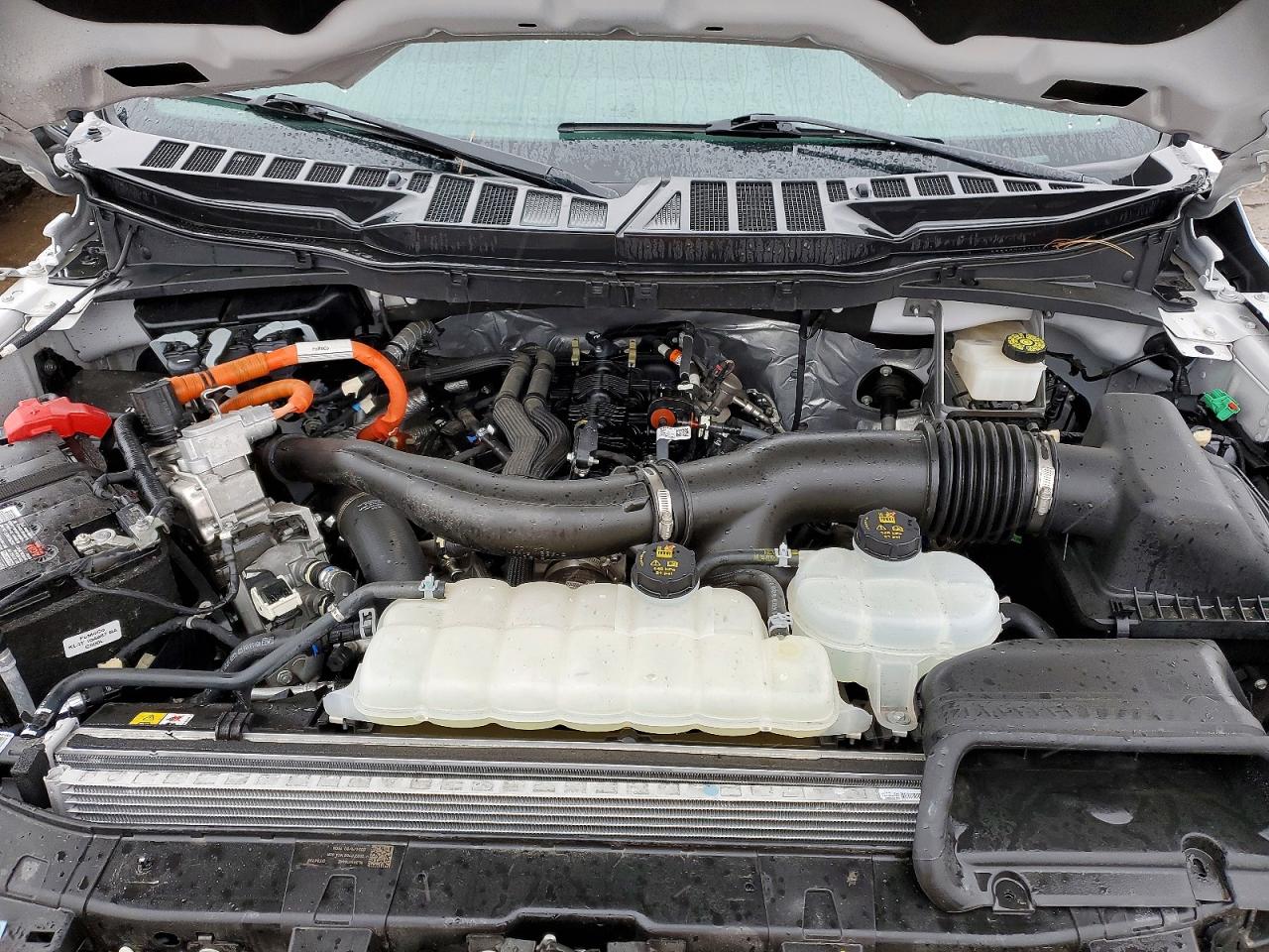 2024 FORD F150 XLT photo 11