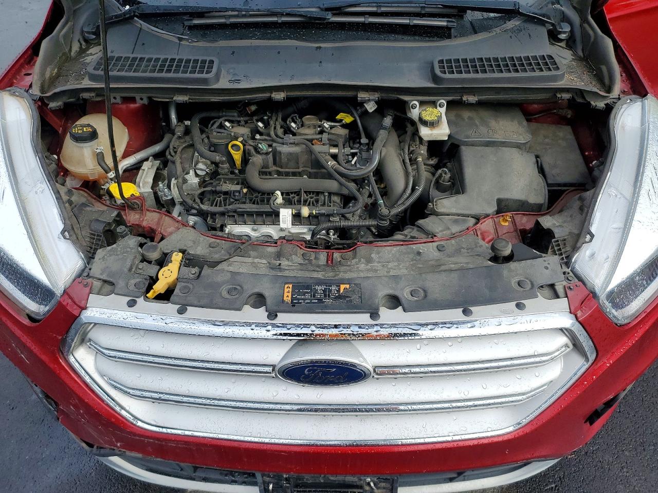 2019 FORD ESCAPE SE photo 11