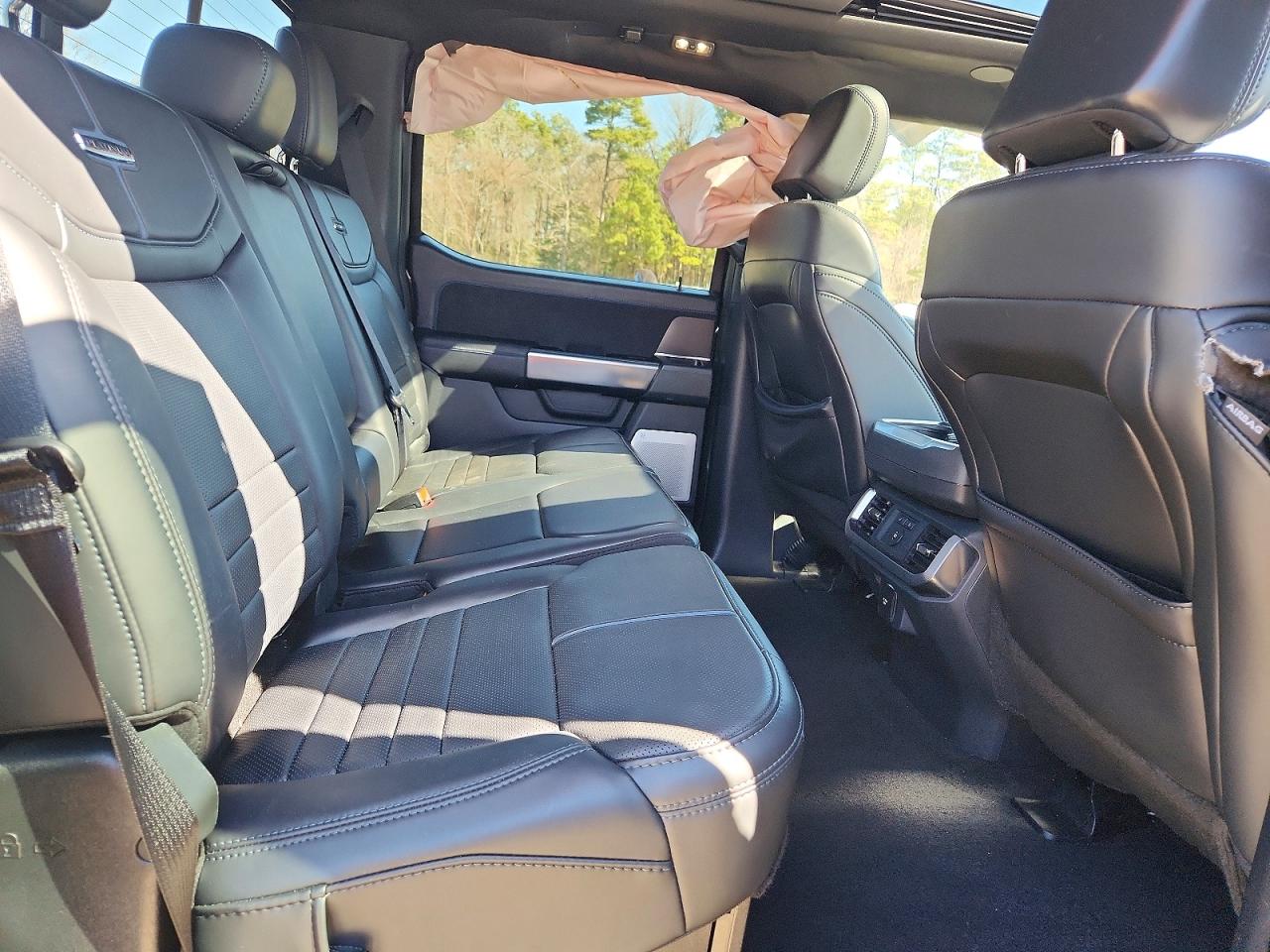 2025 FORD F150 PLATINUM photo 19
