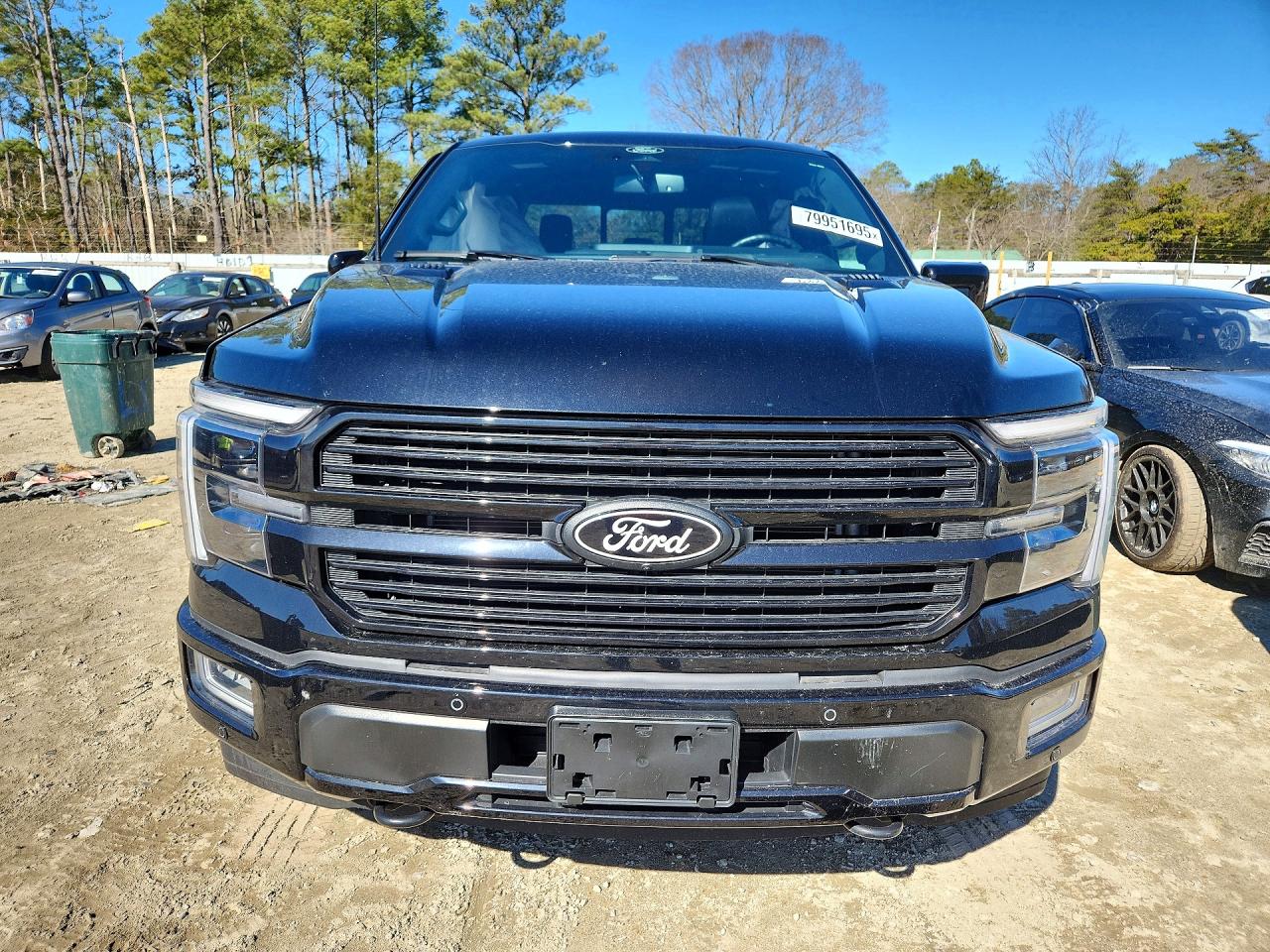 2025 FORD F150 PLATINUM photo 9