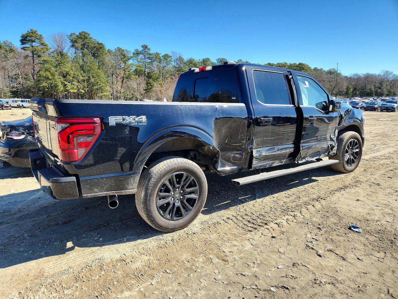 2025 FORD F150 PLATINUM photo 5