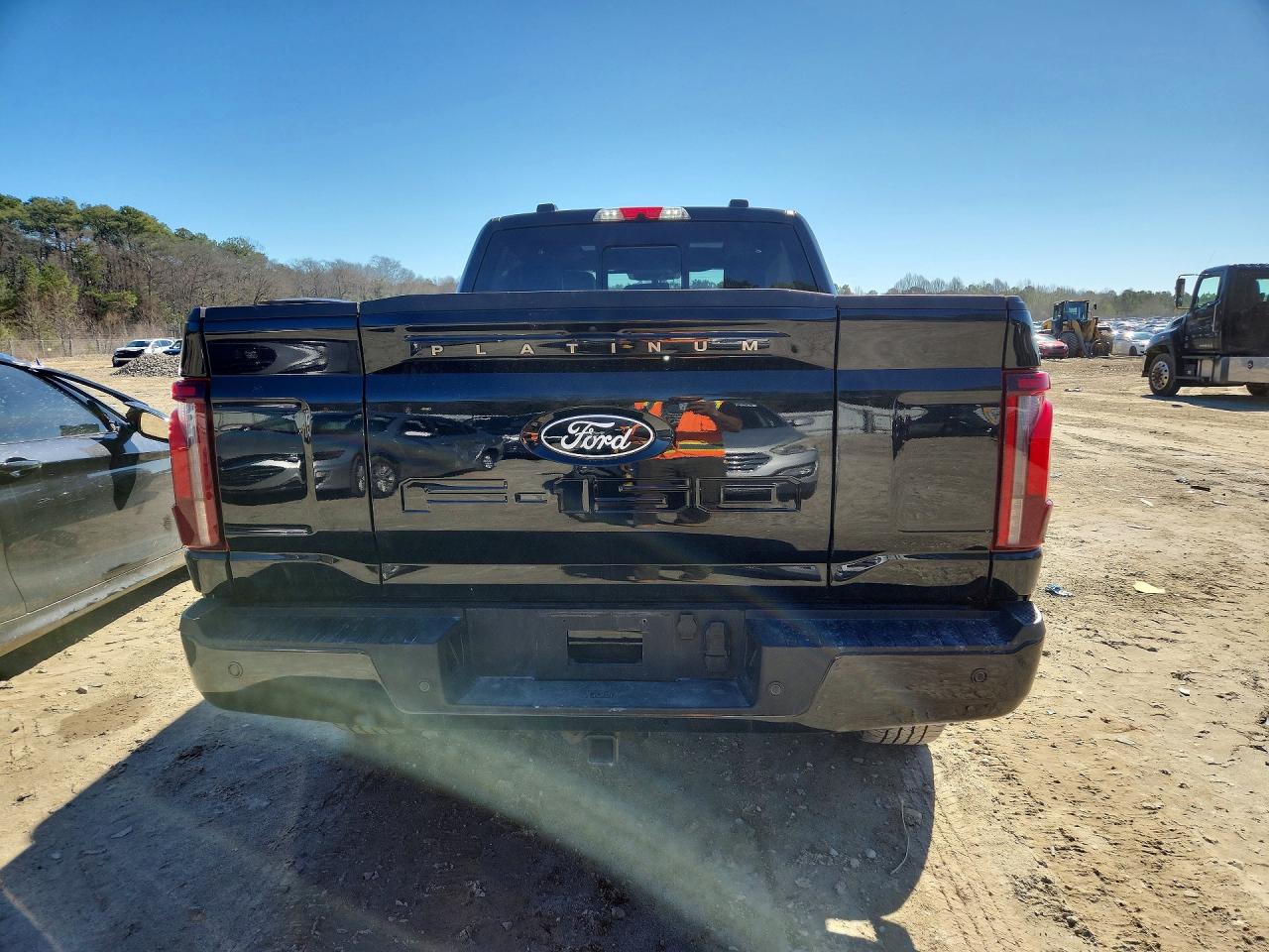 2025 FORD F150 PLATINUM photo 11