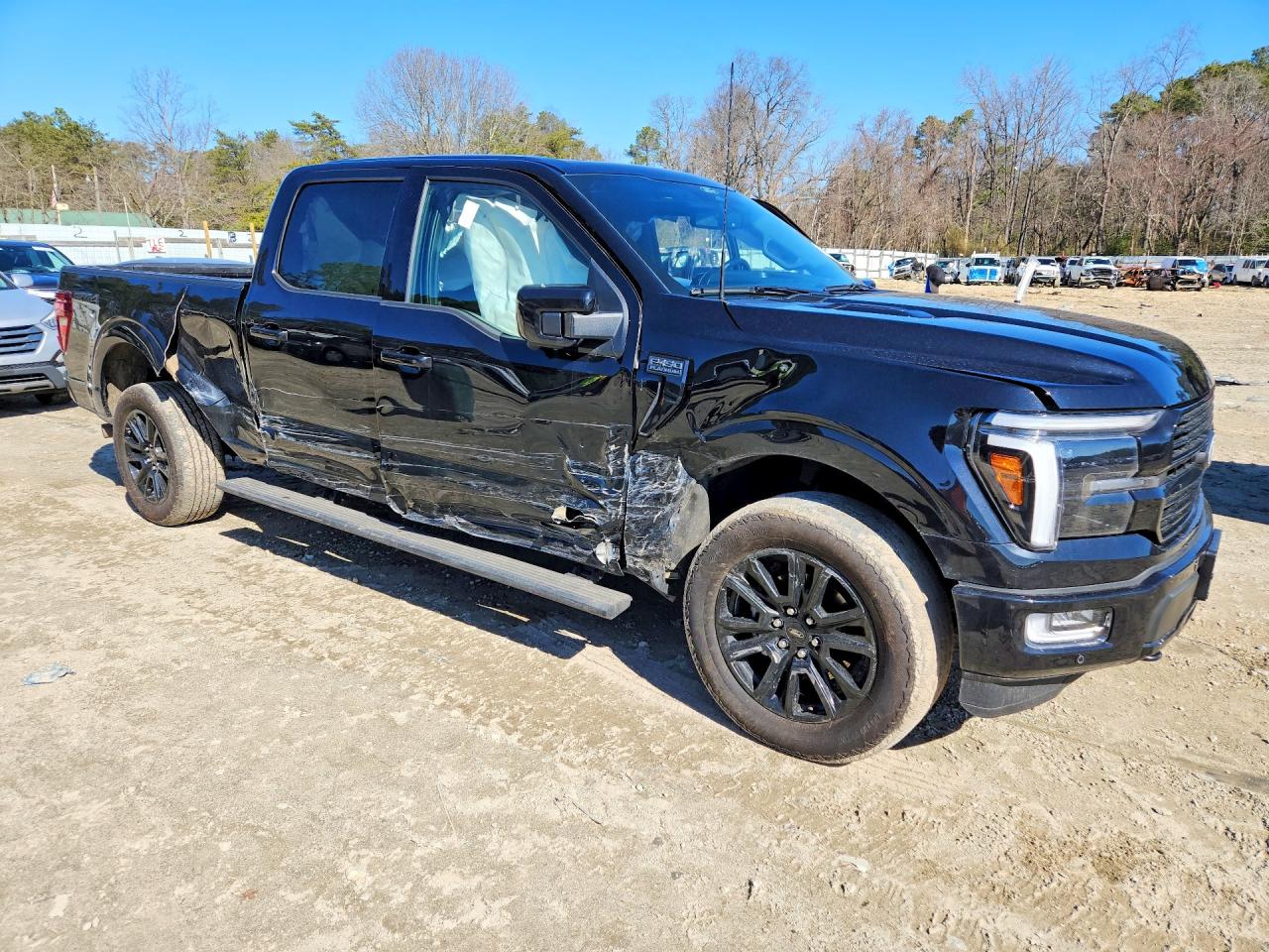 2025 FORD F150 PLATINUM photo 7