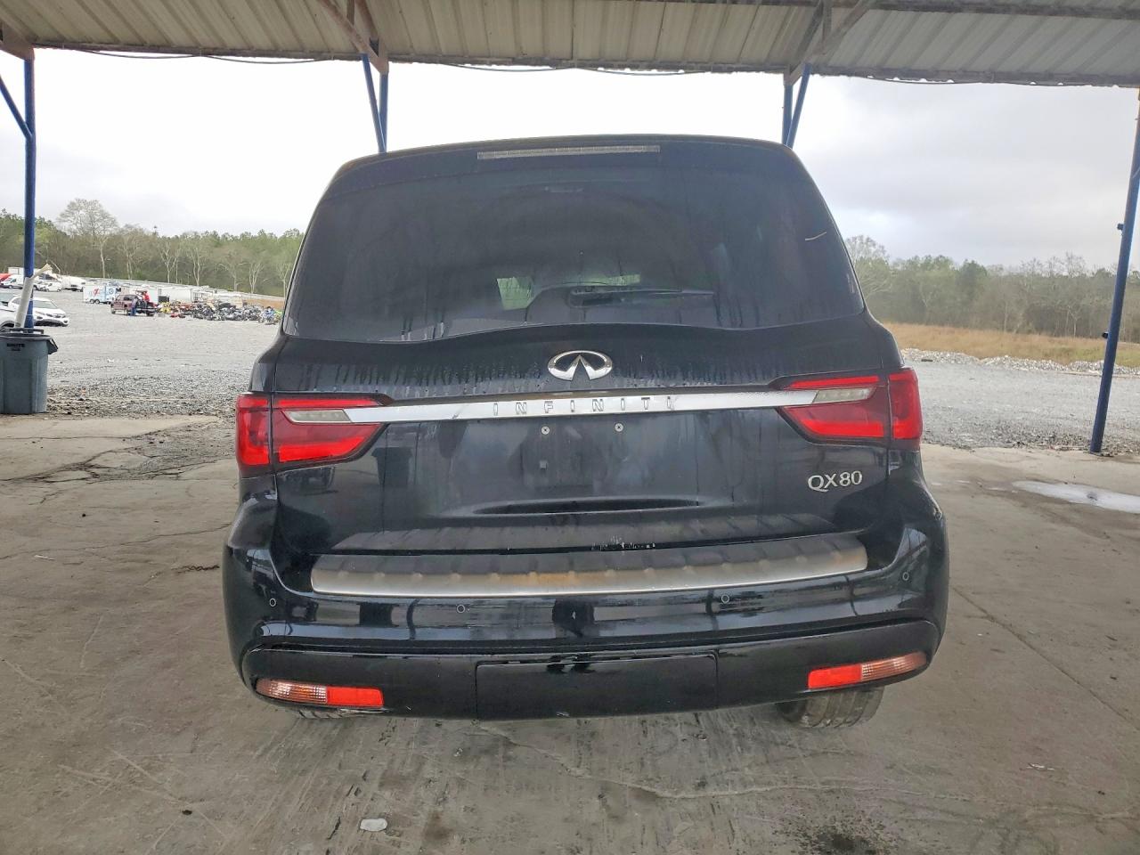 2019 INFINITI QX80 LUXE photo 6
