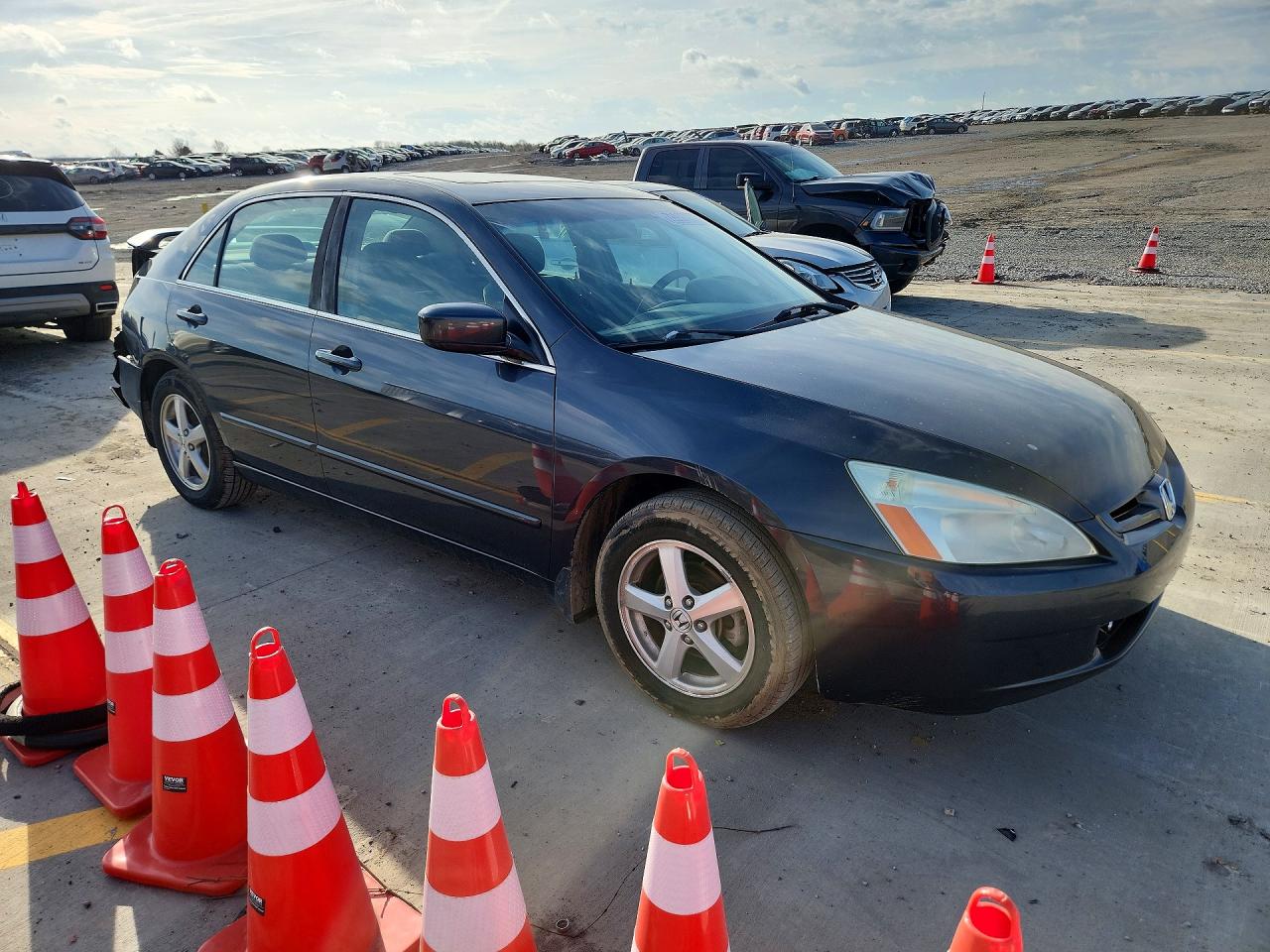 2005 HONDA ACCORD EX photo 4