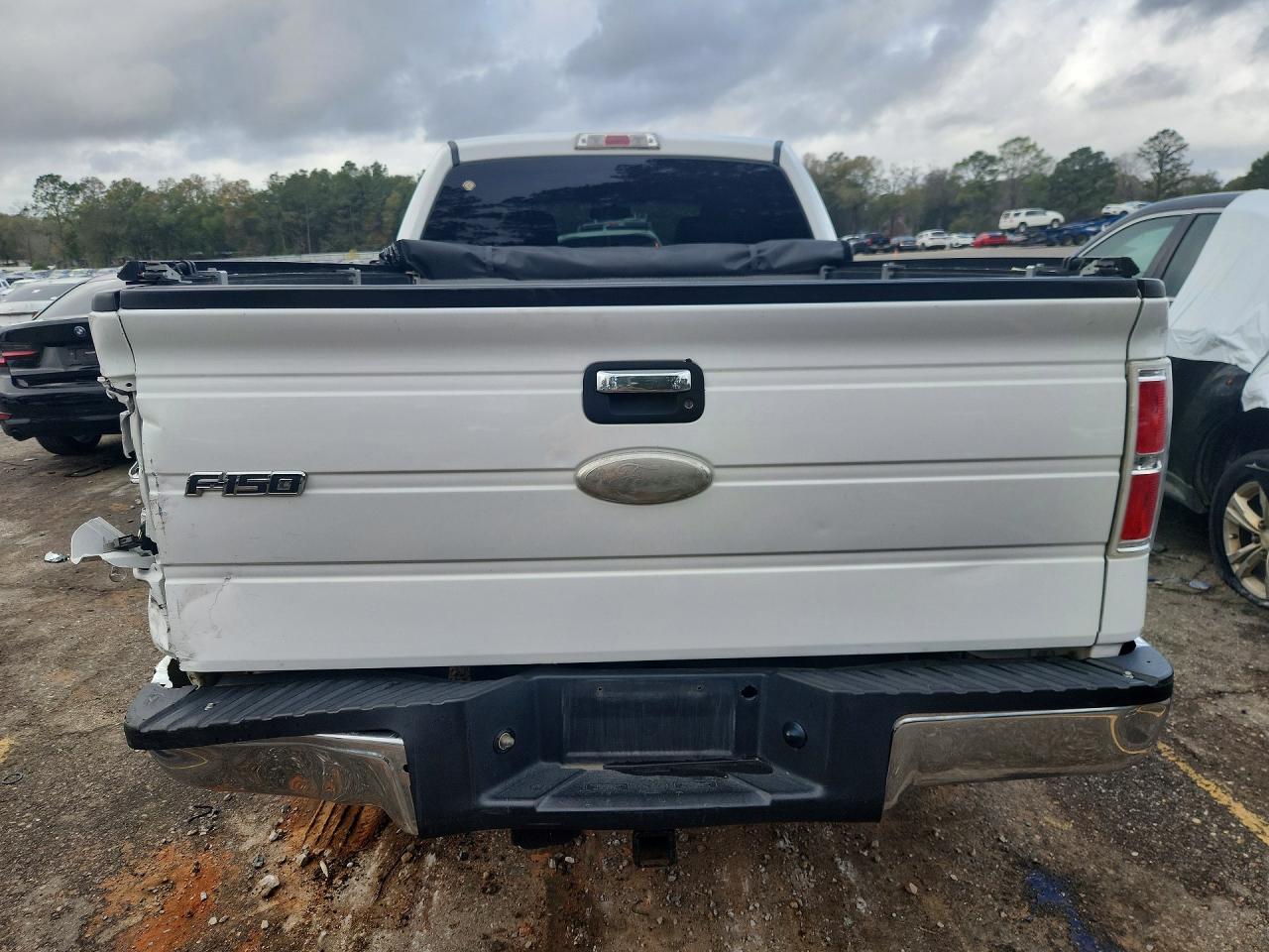 2011 FORD F150 SUPERCREW photo 16