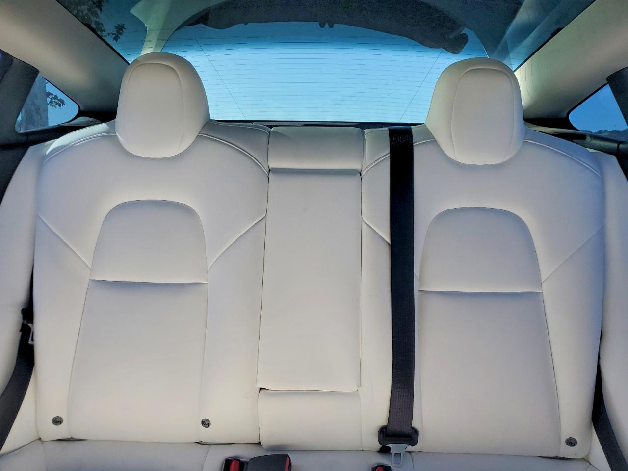 2021 TESLA MODEL 3 photo 19